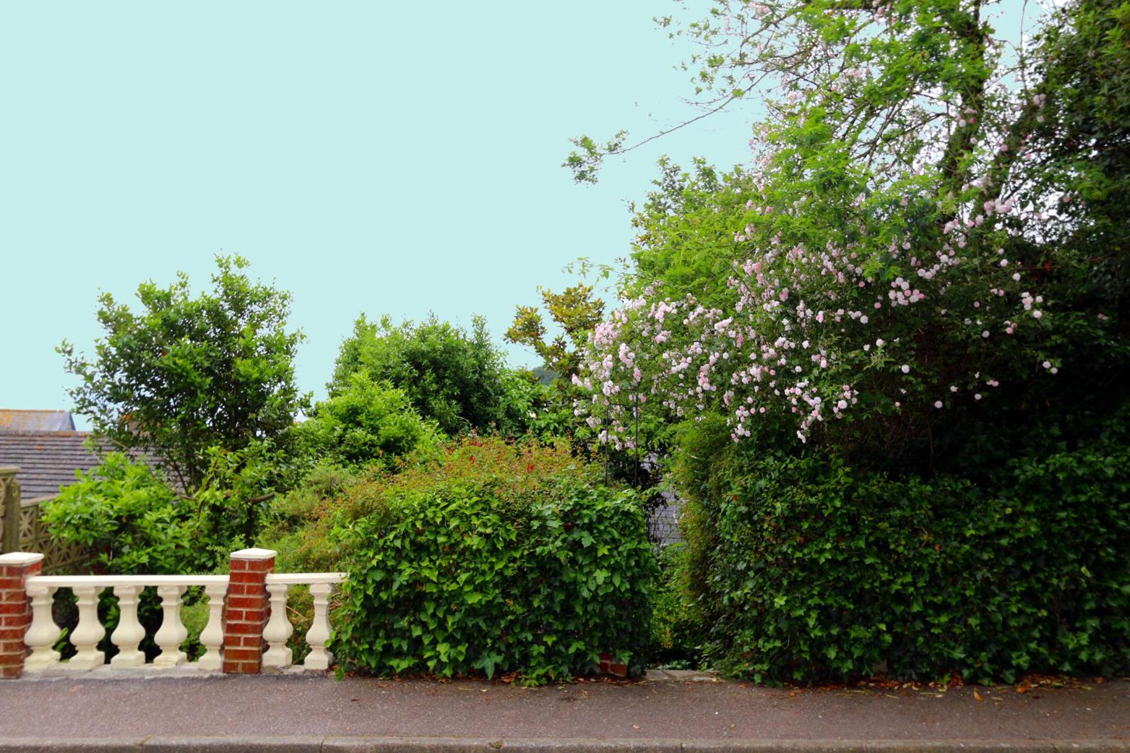Lammas Park House