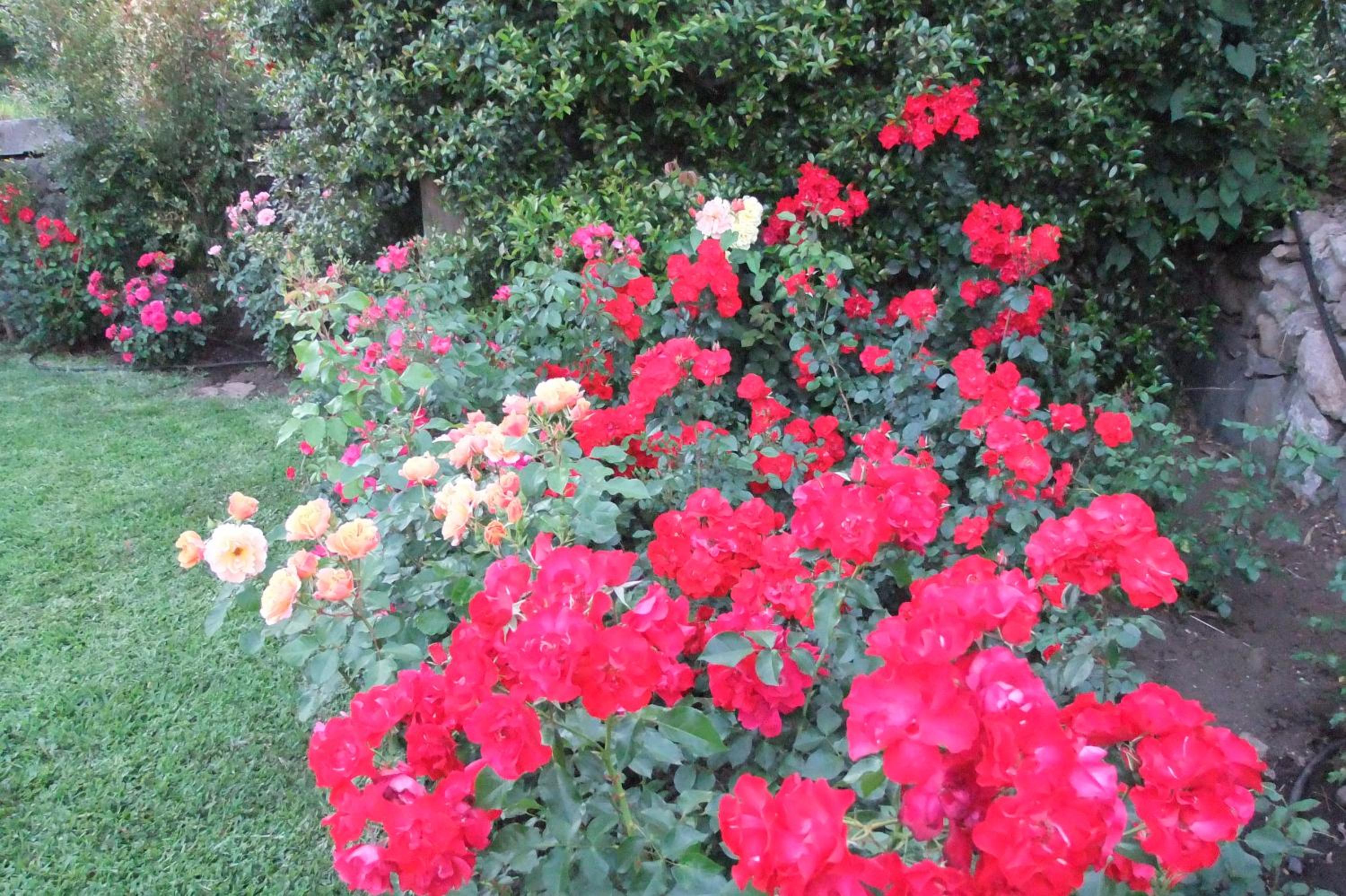 Photo 48