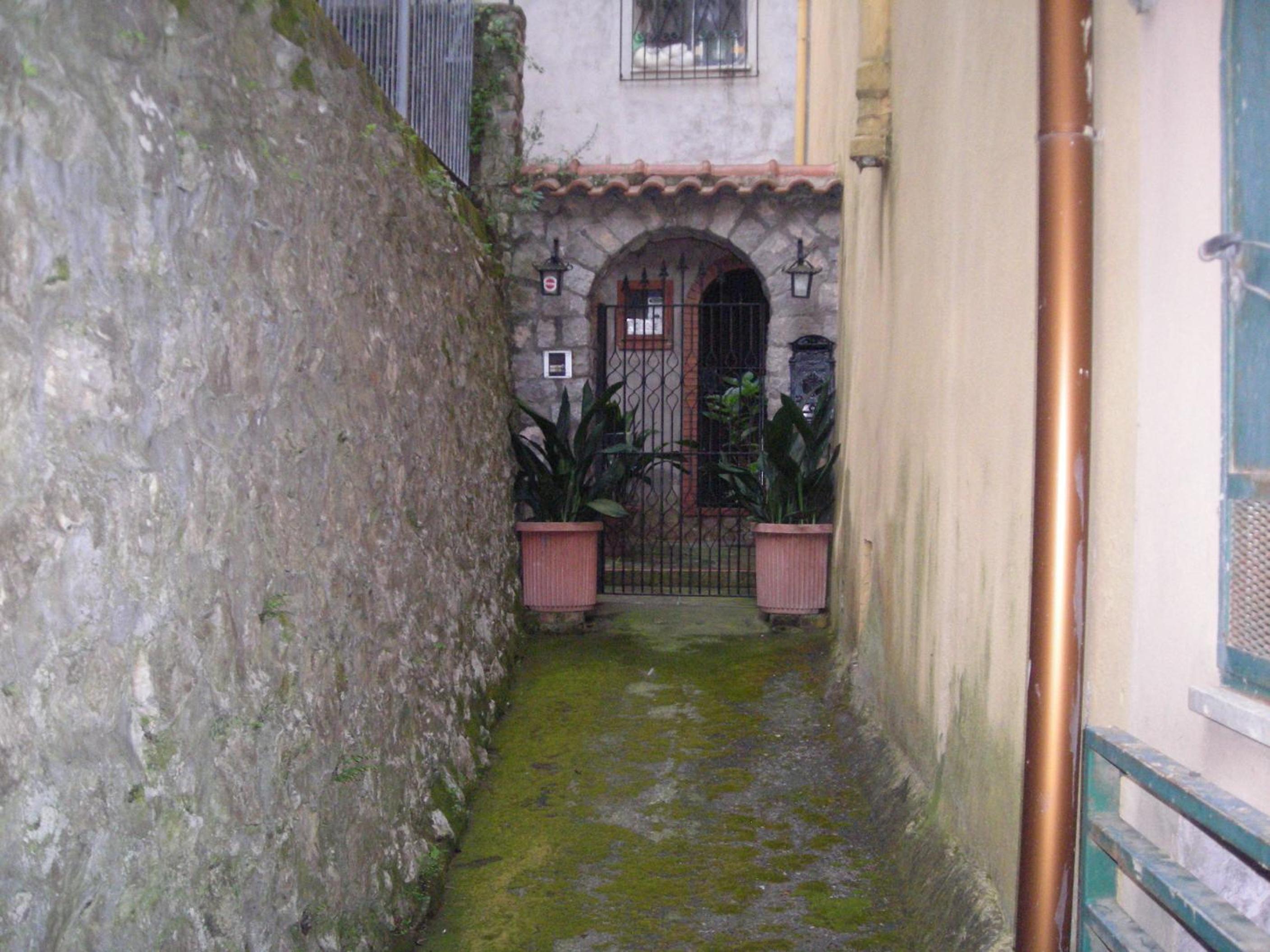 Photo 39