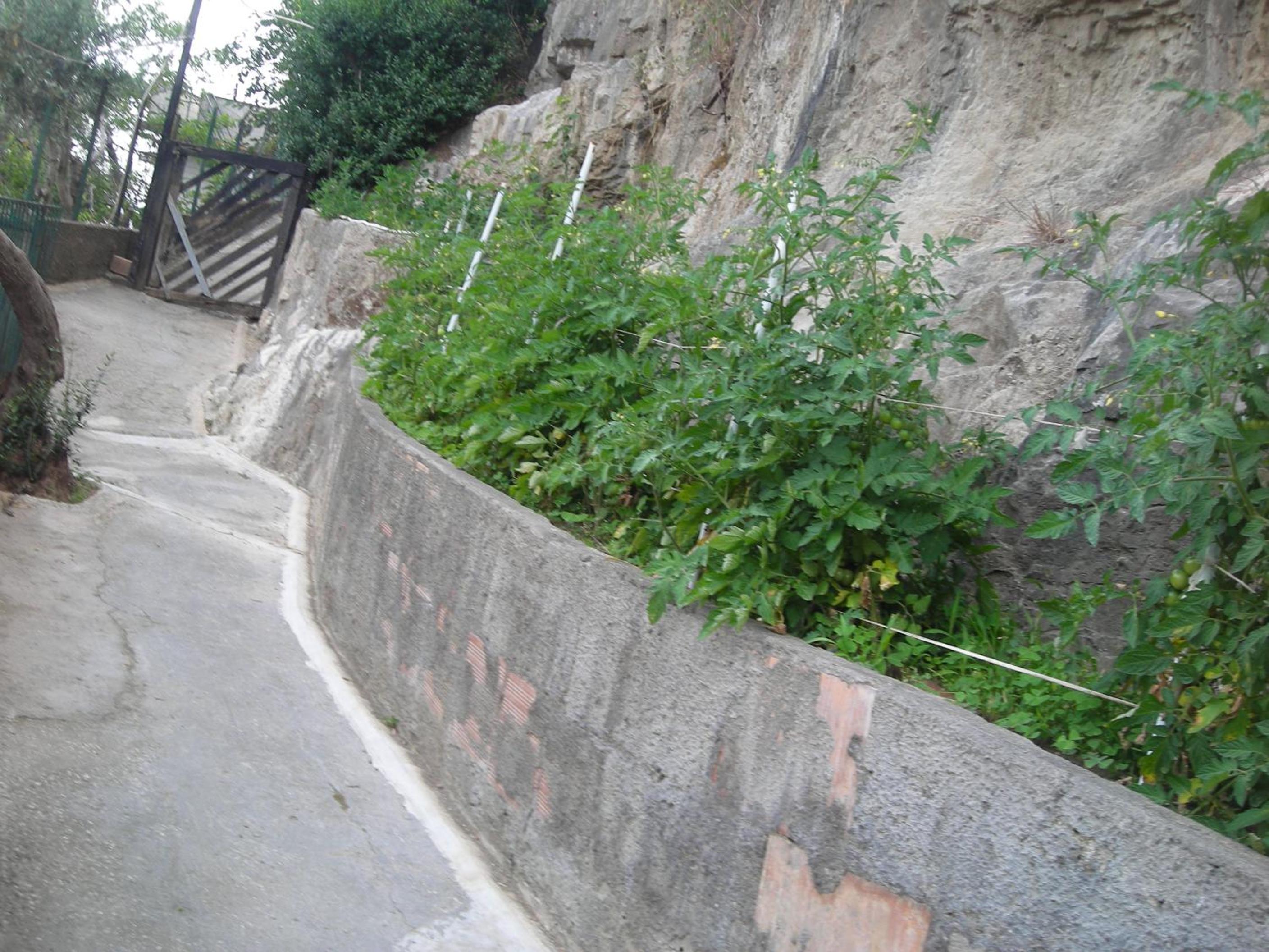 Photo 44