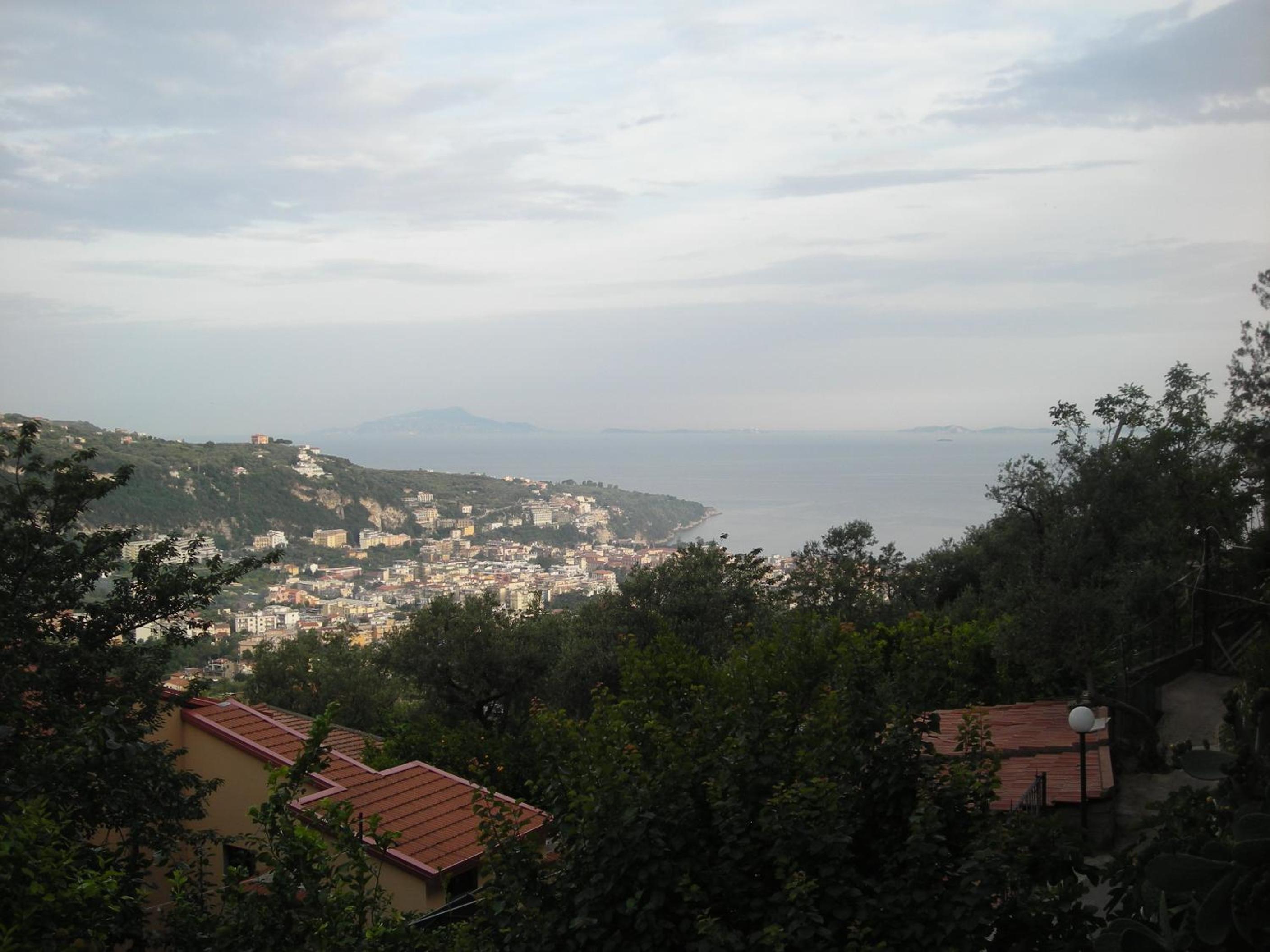 Photo 46