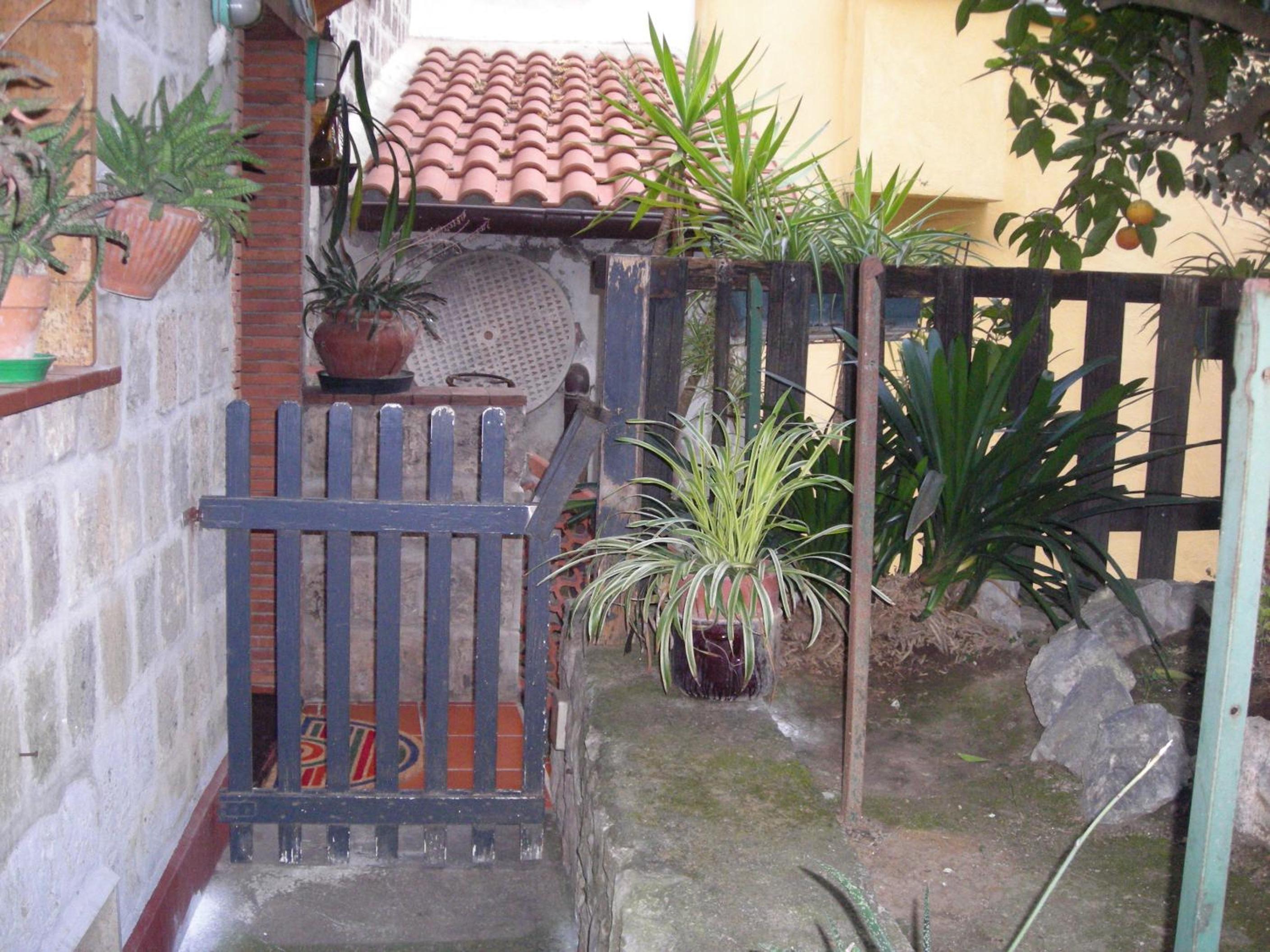 Photo 49