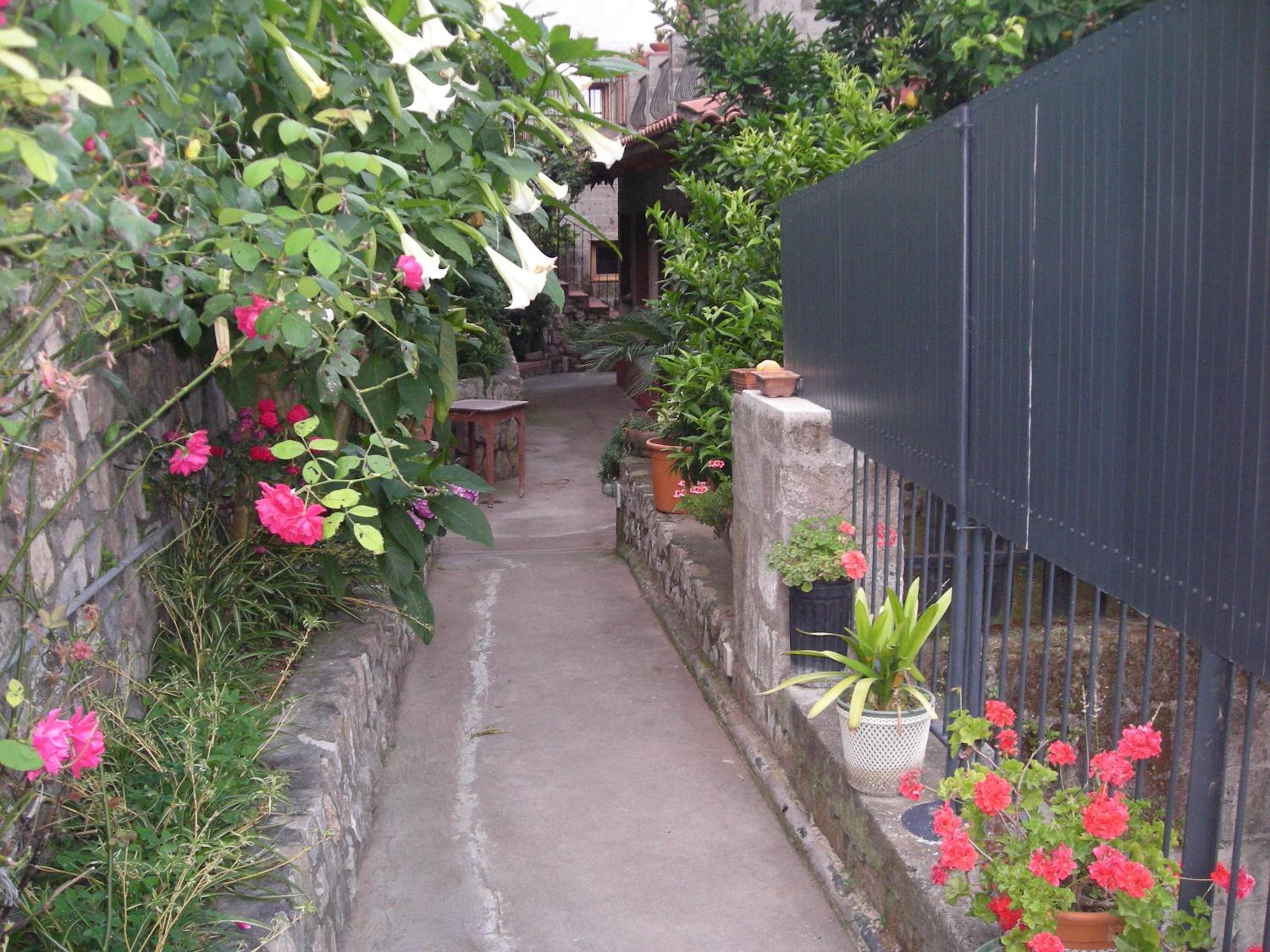 Photo 51