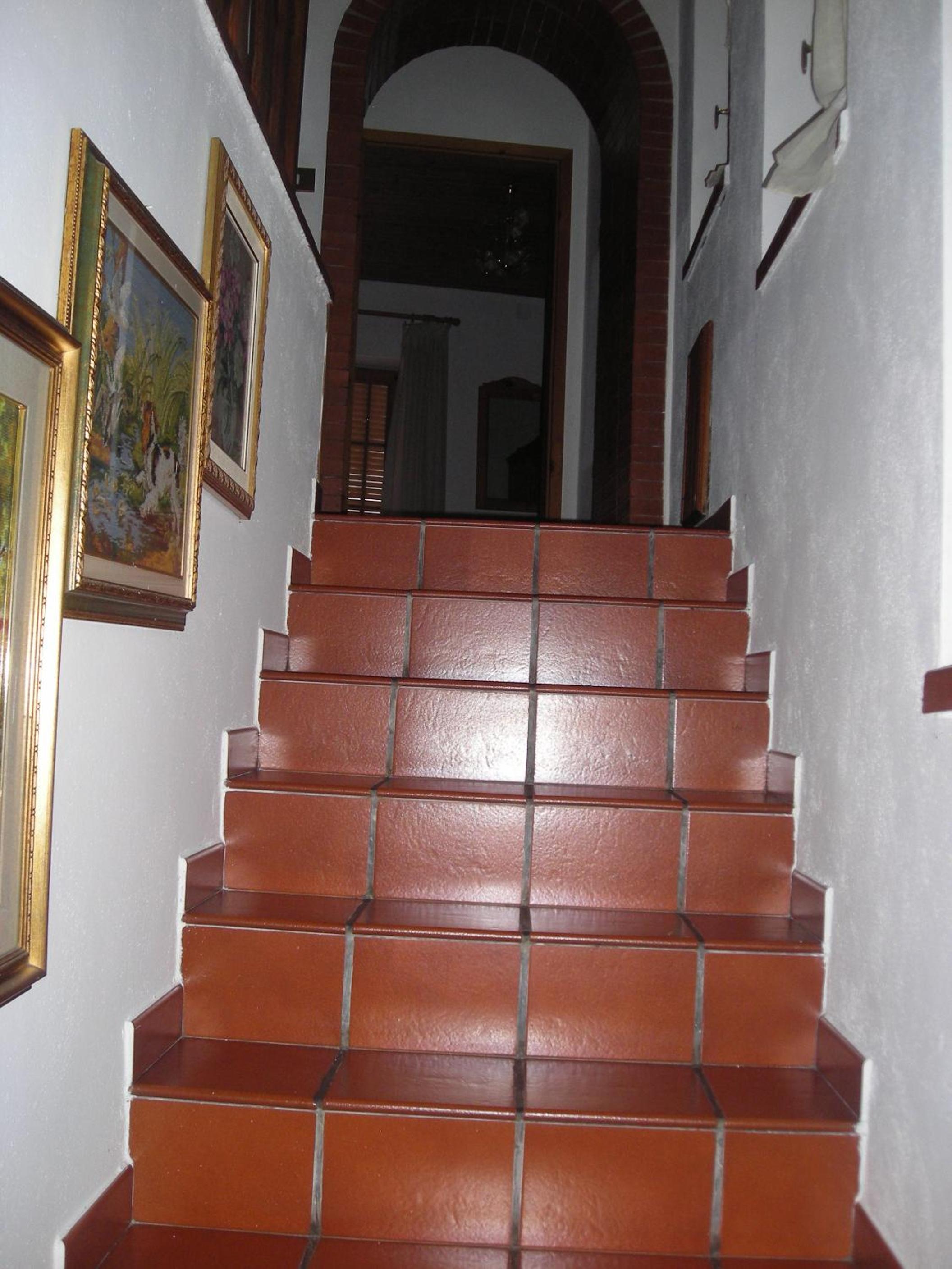 Photo 54