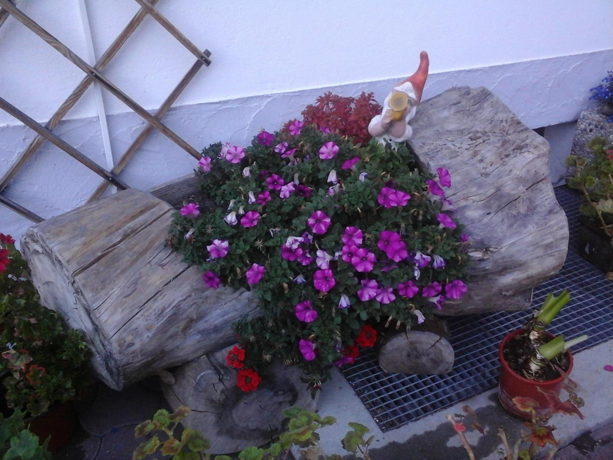 Photo 45