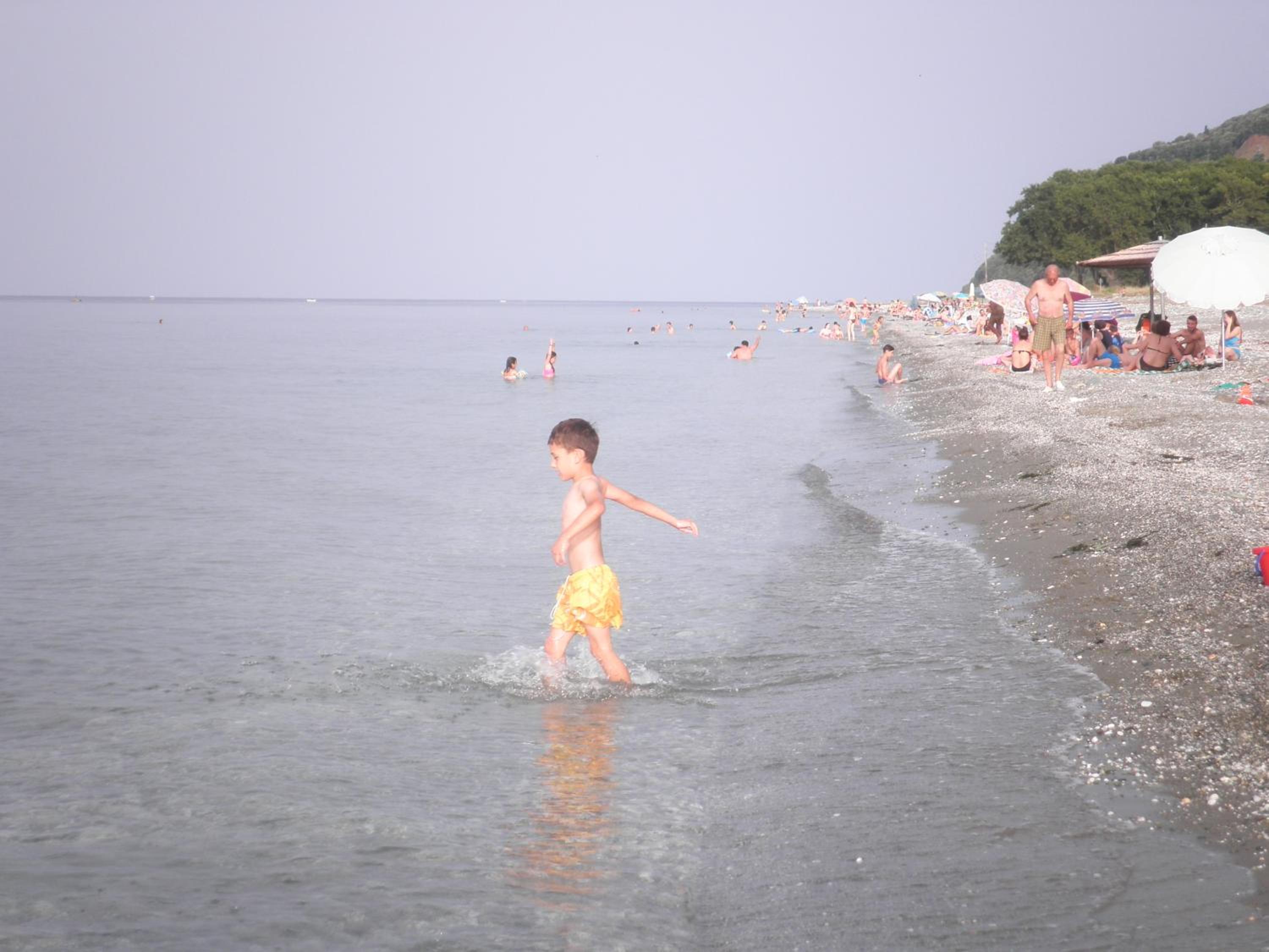 Photo 25