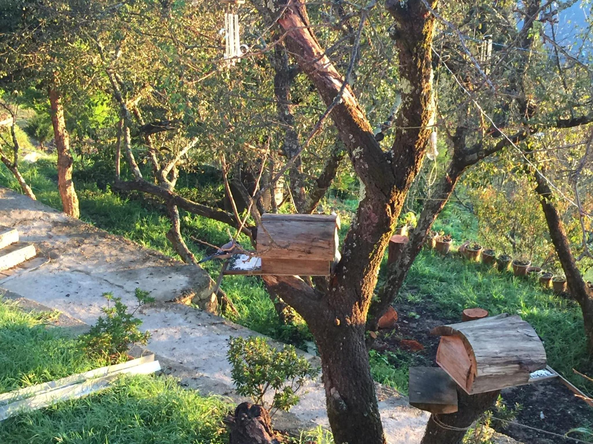 Trinetra Orchards