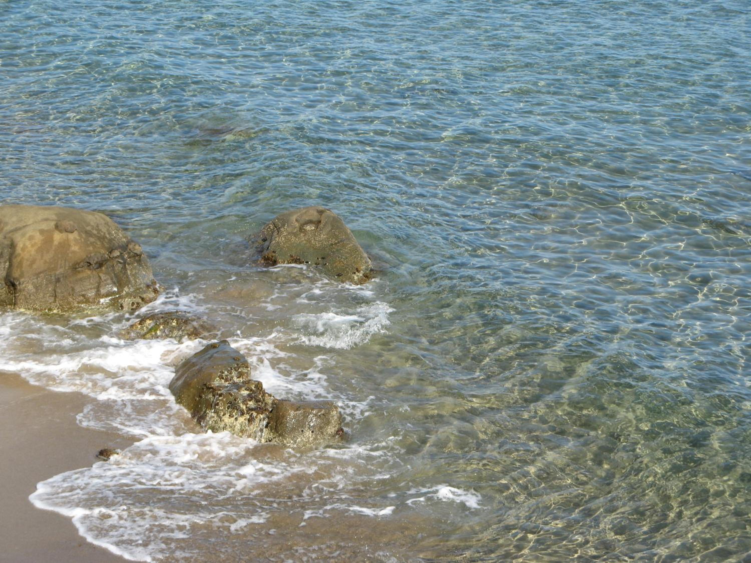 Photo 44