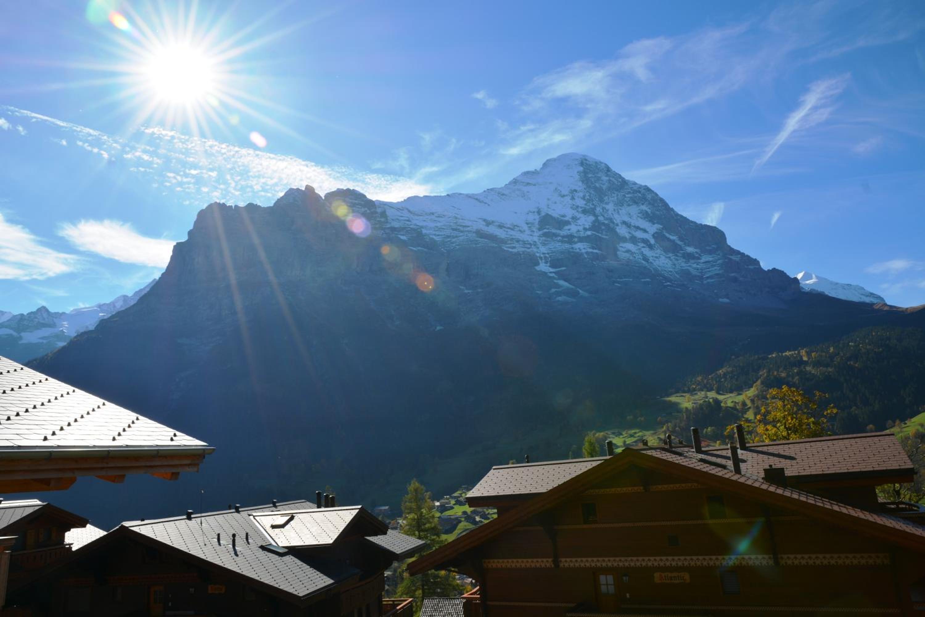 Apartment Silbersee - GRIWA RENT AG