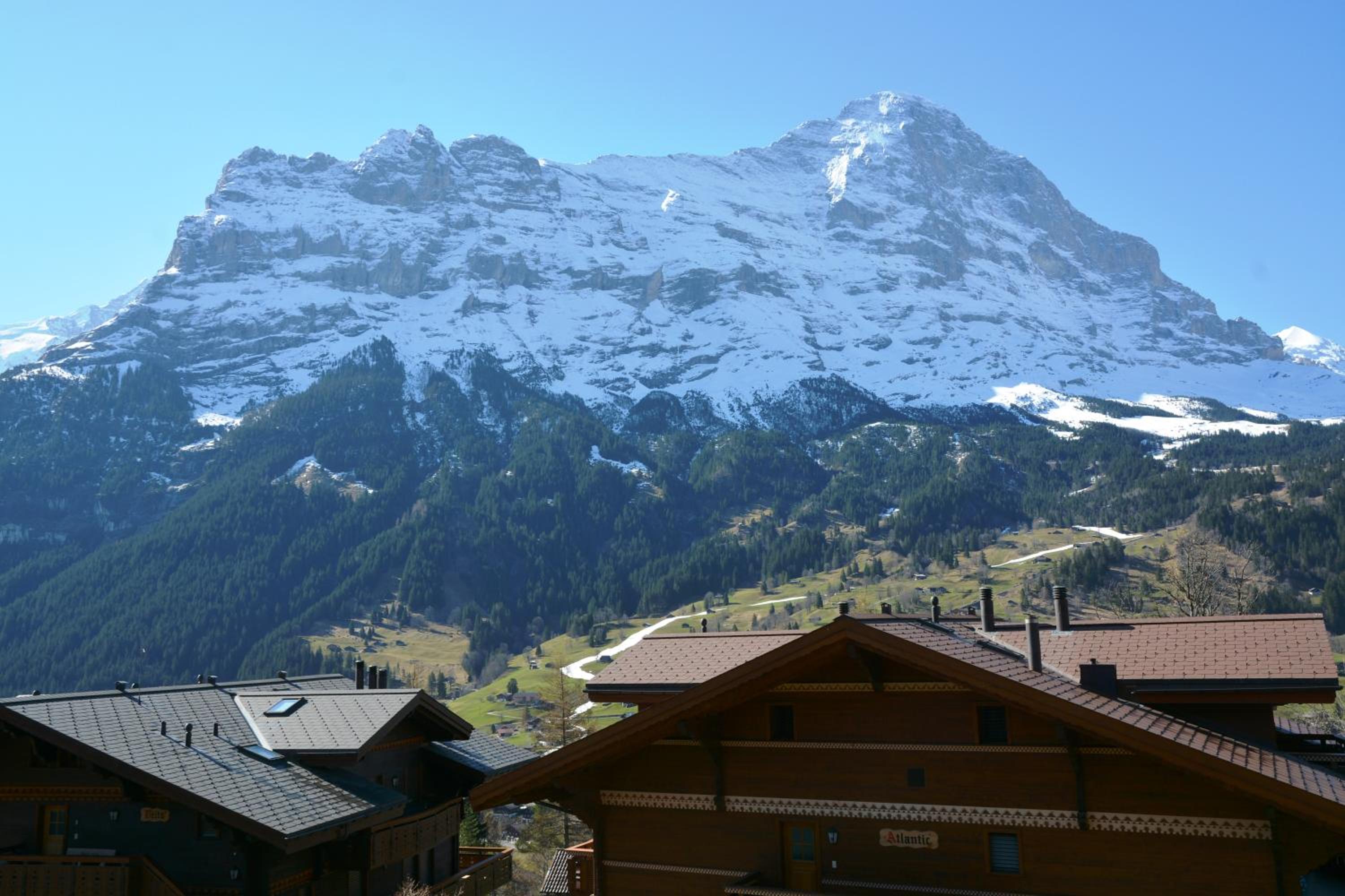 Apartment Silbersee - GRIWA RENT AG