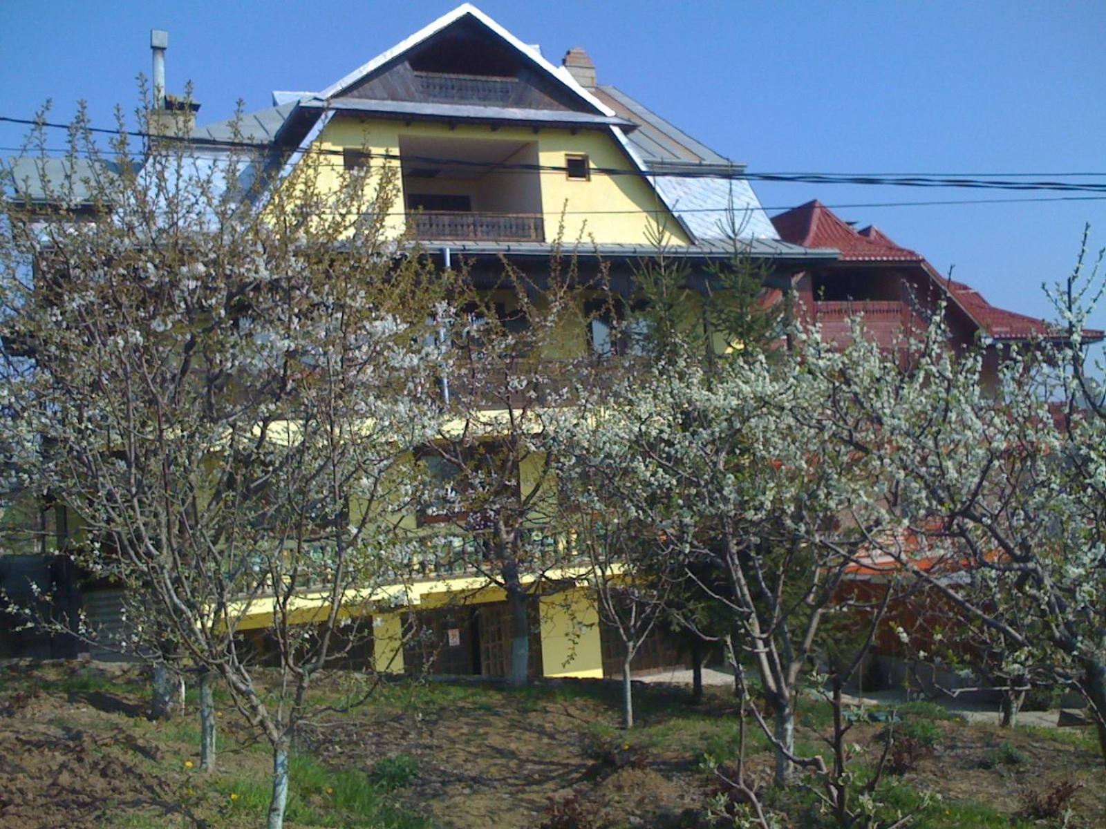 Photo 28