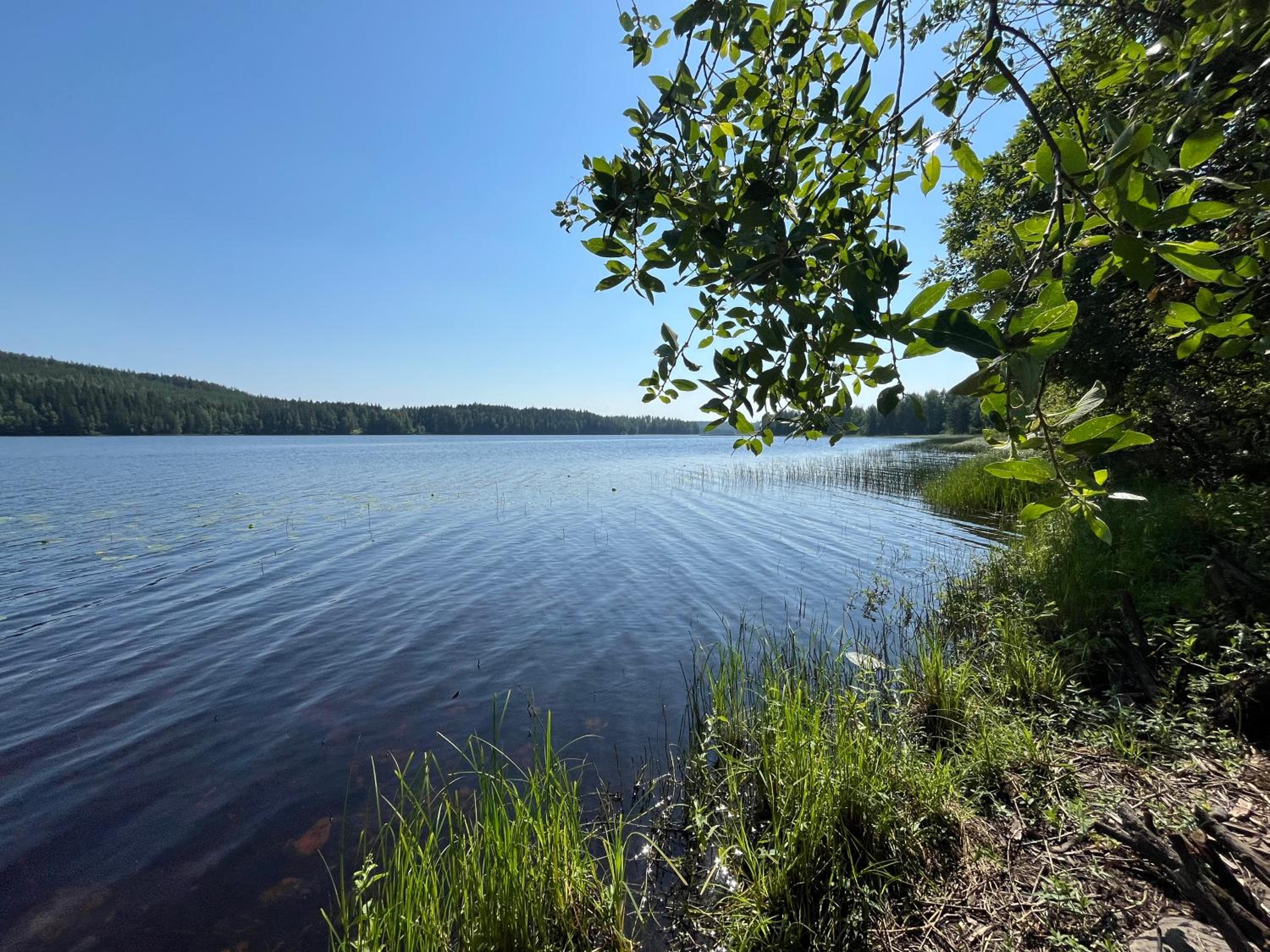 Crickhollow