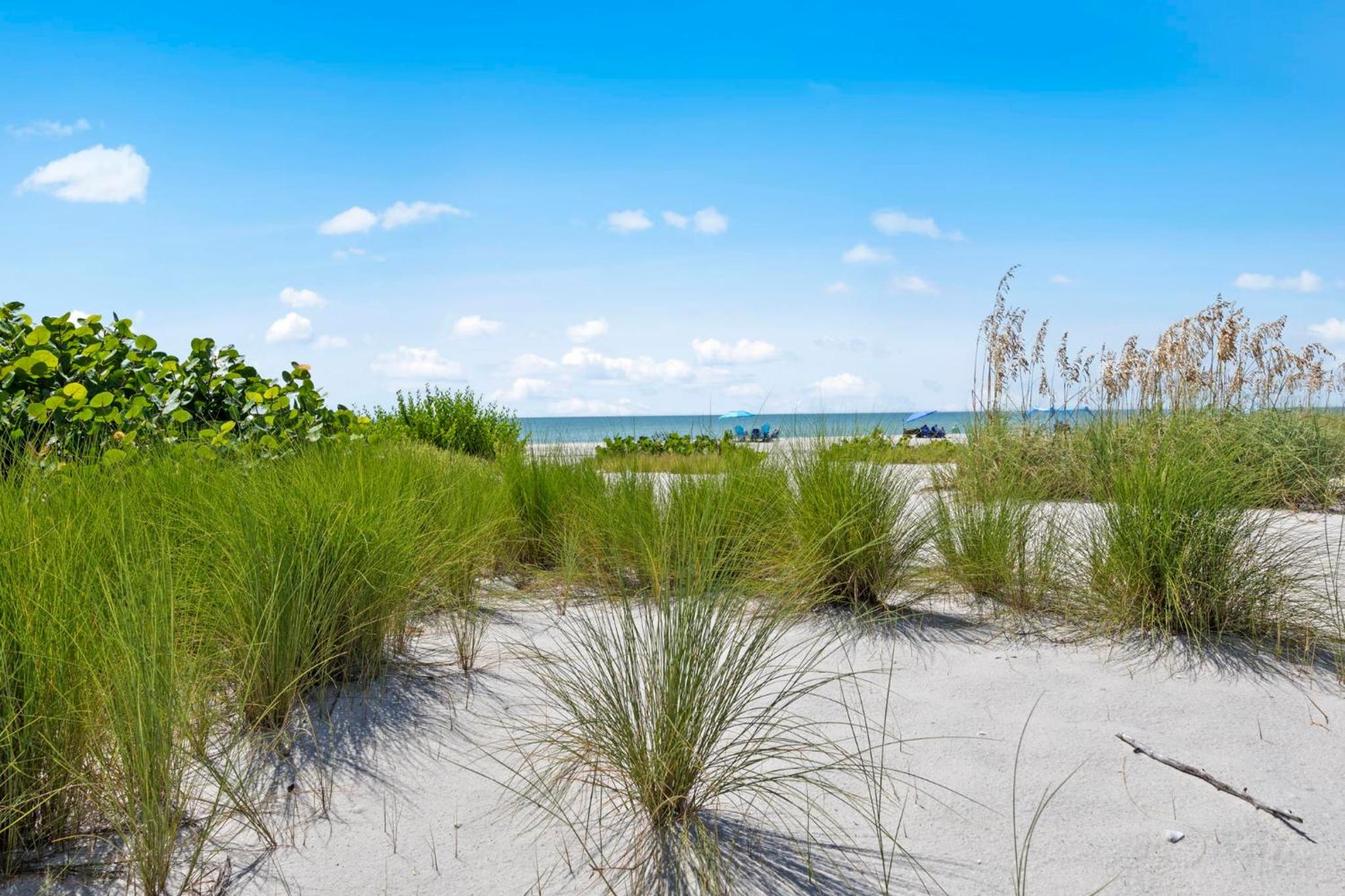 Beachfront with Pool Bikes Loggerhead 472
