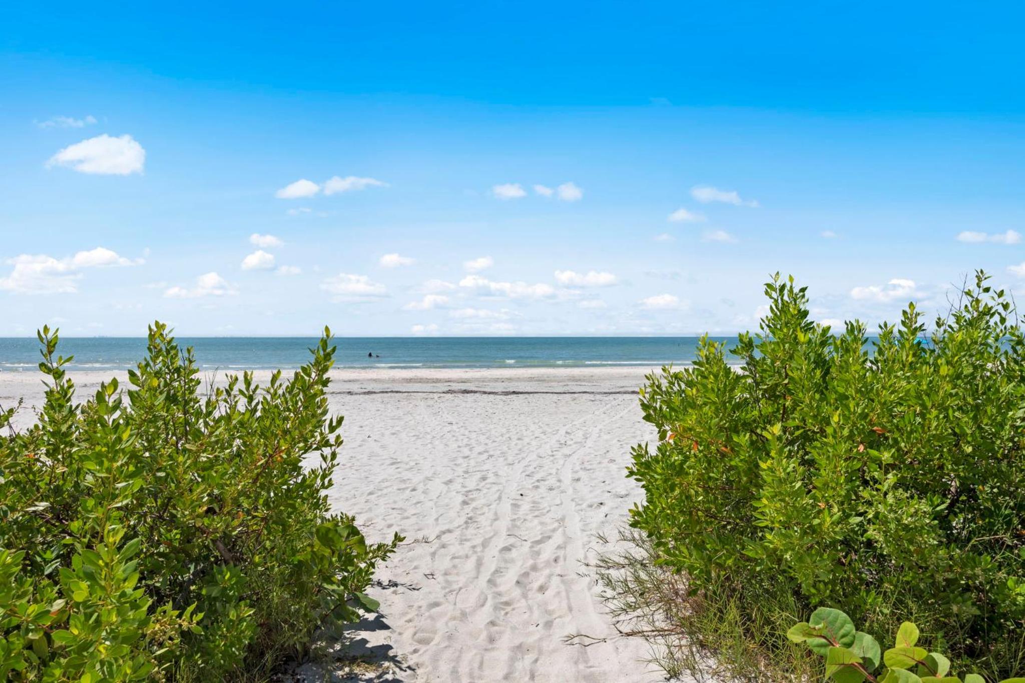 Beachfront with Pool Bikes Loggerhead 472