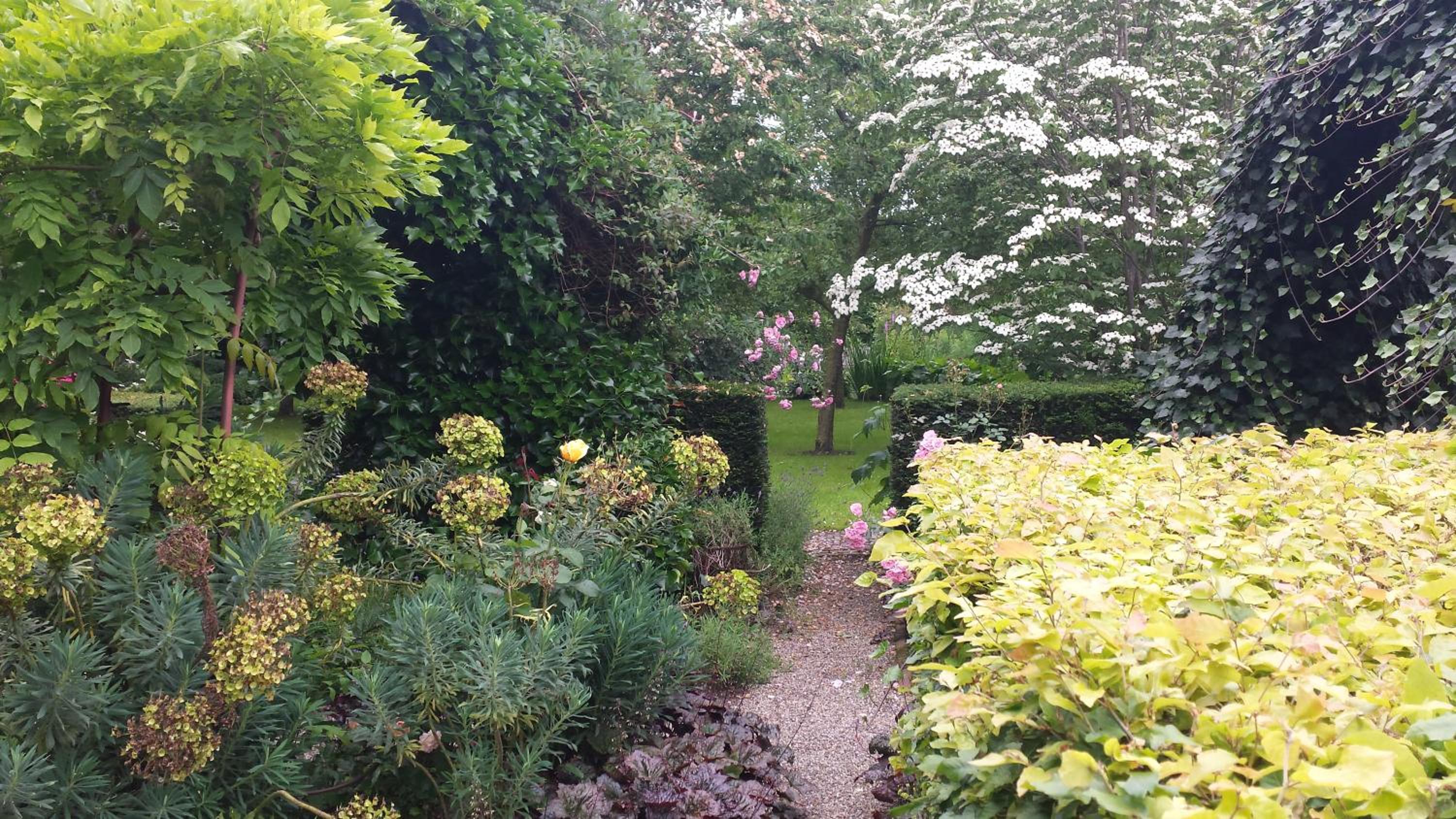 Photo 13