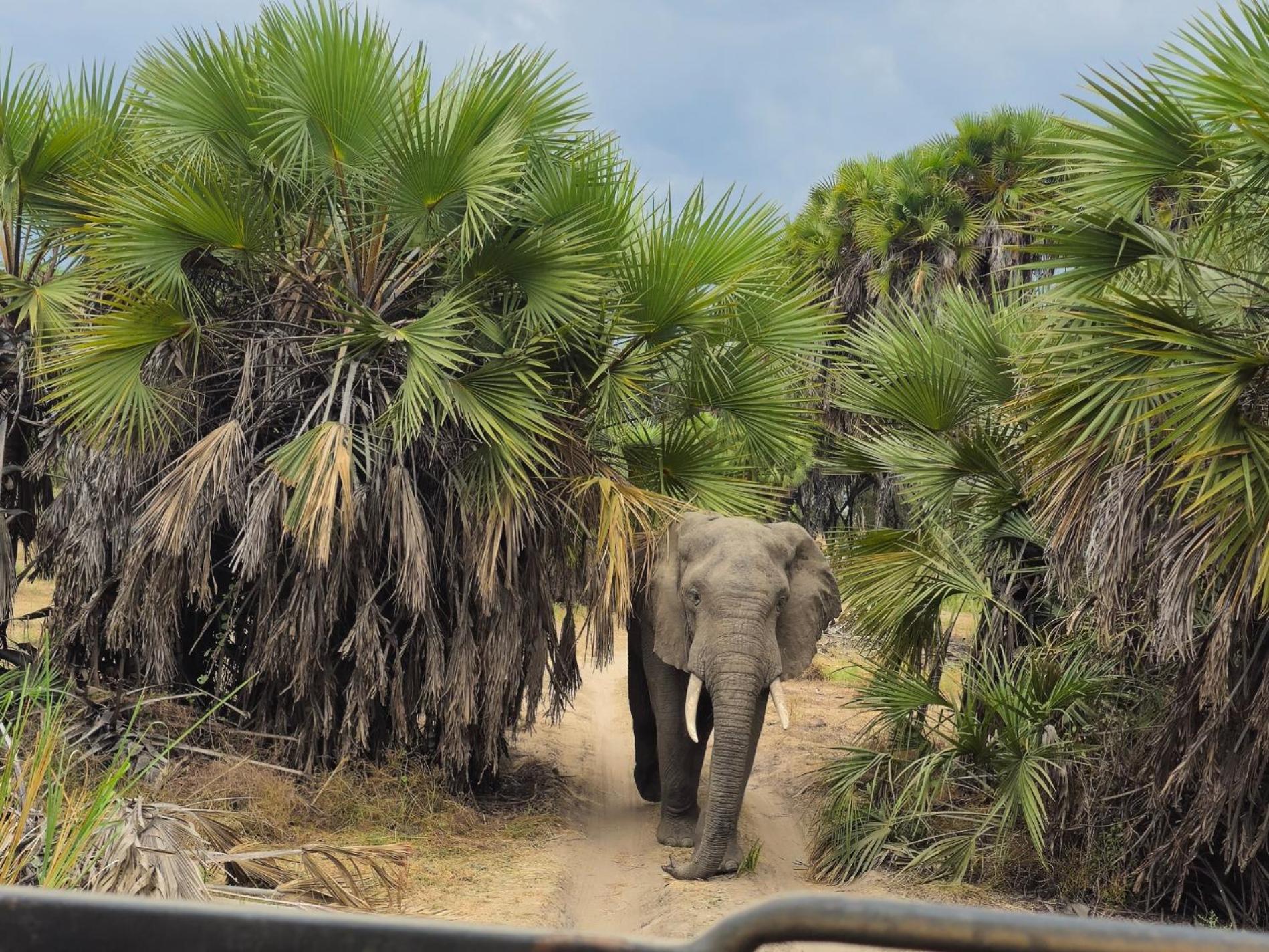Nakupenda Afrika near JNIA Airport