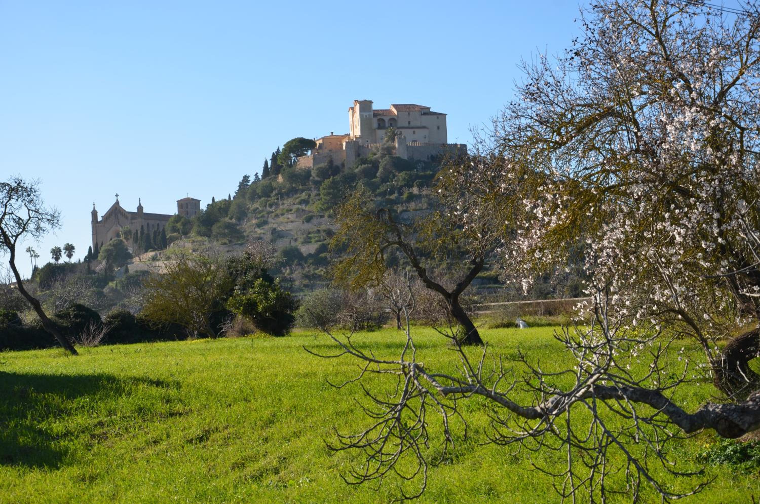 Finca Son Blat