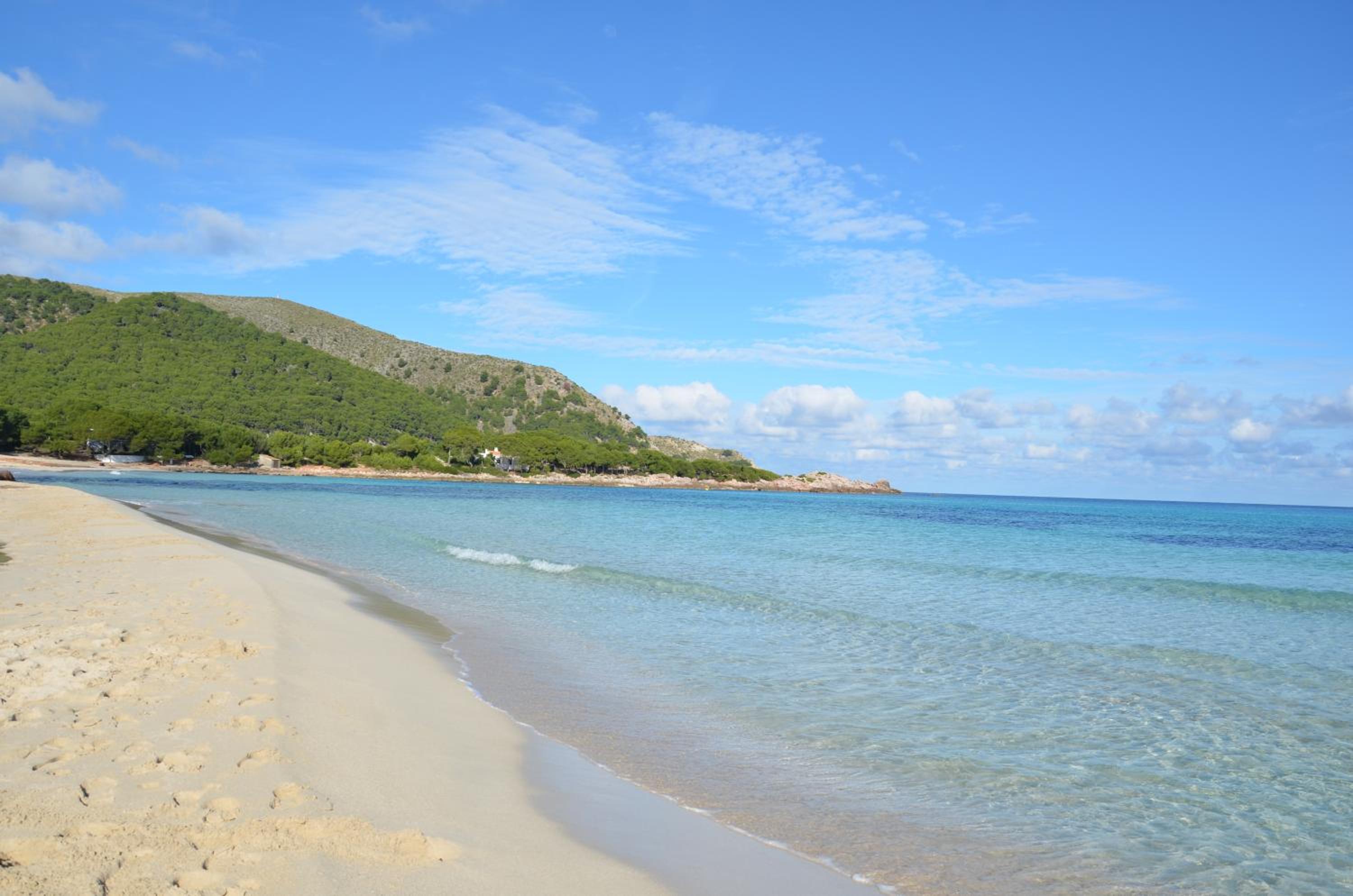 Finca Son Blat