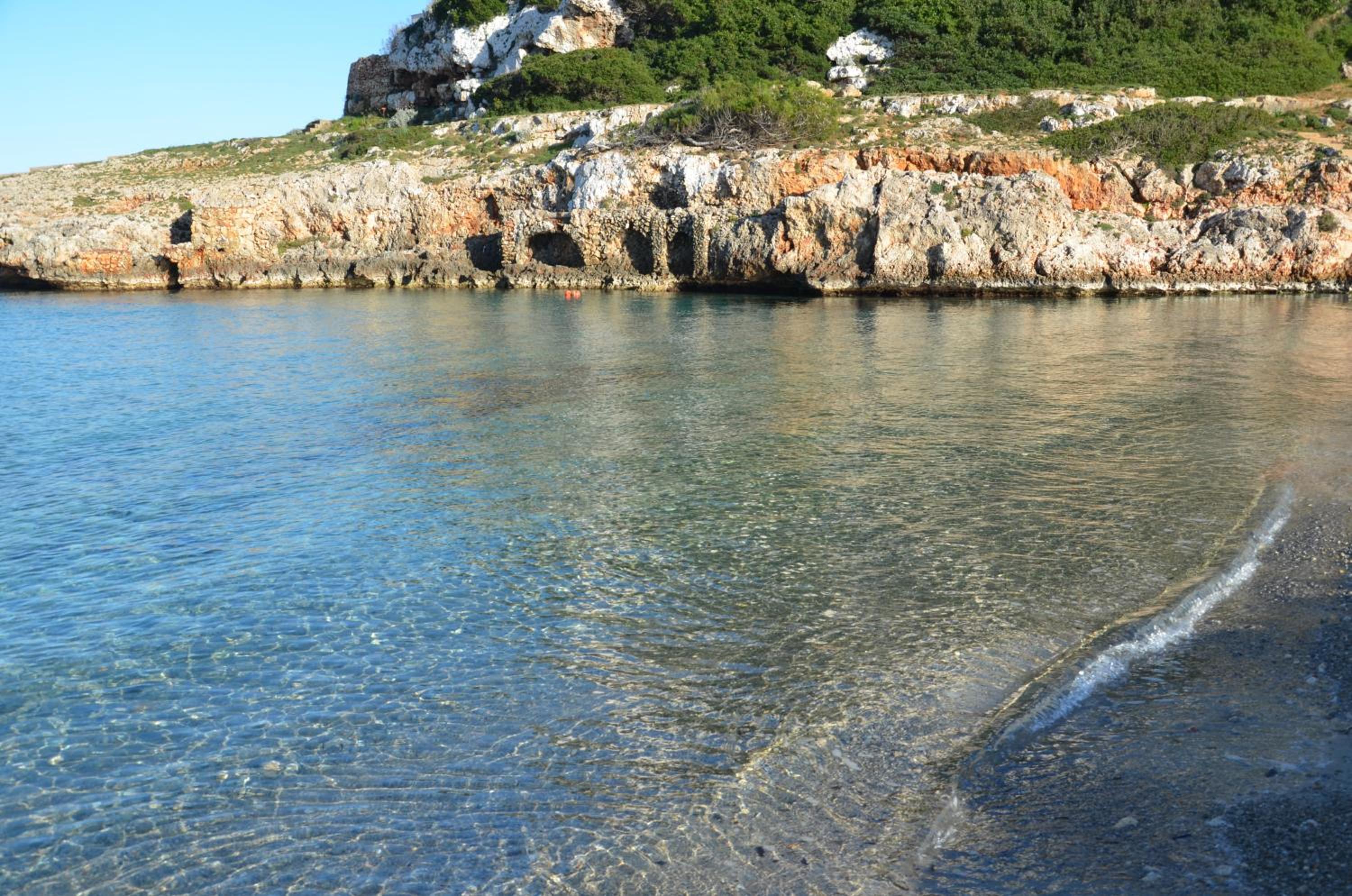 Finca Son Blat