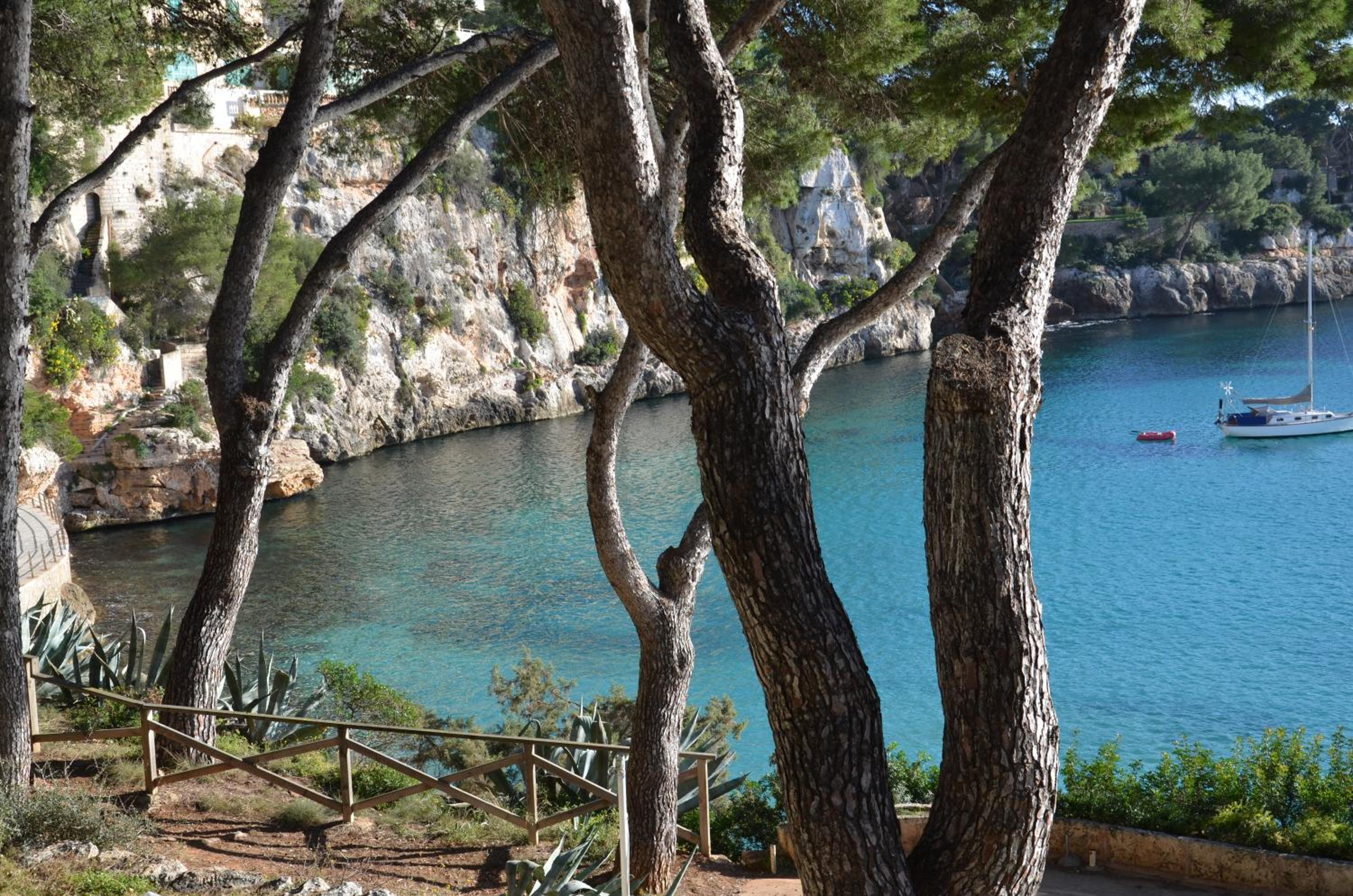 Finca Son Blat