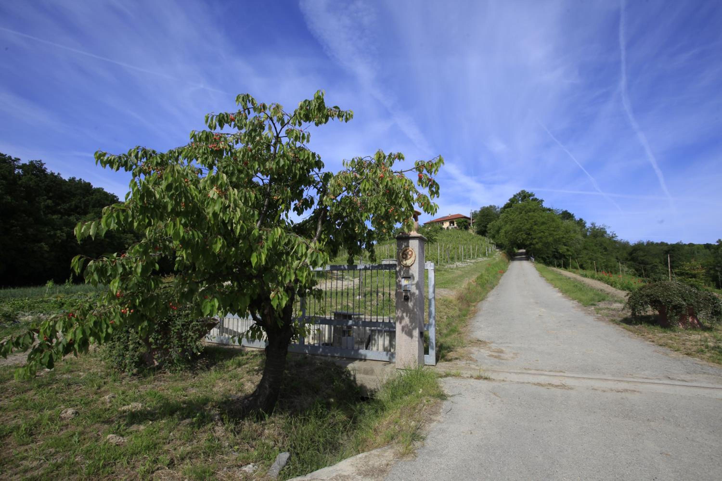 Photo 23