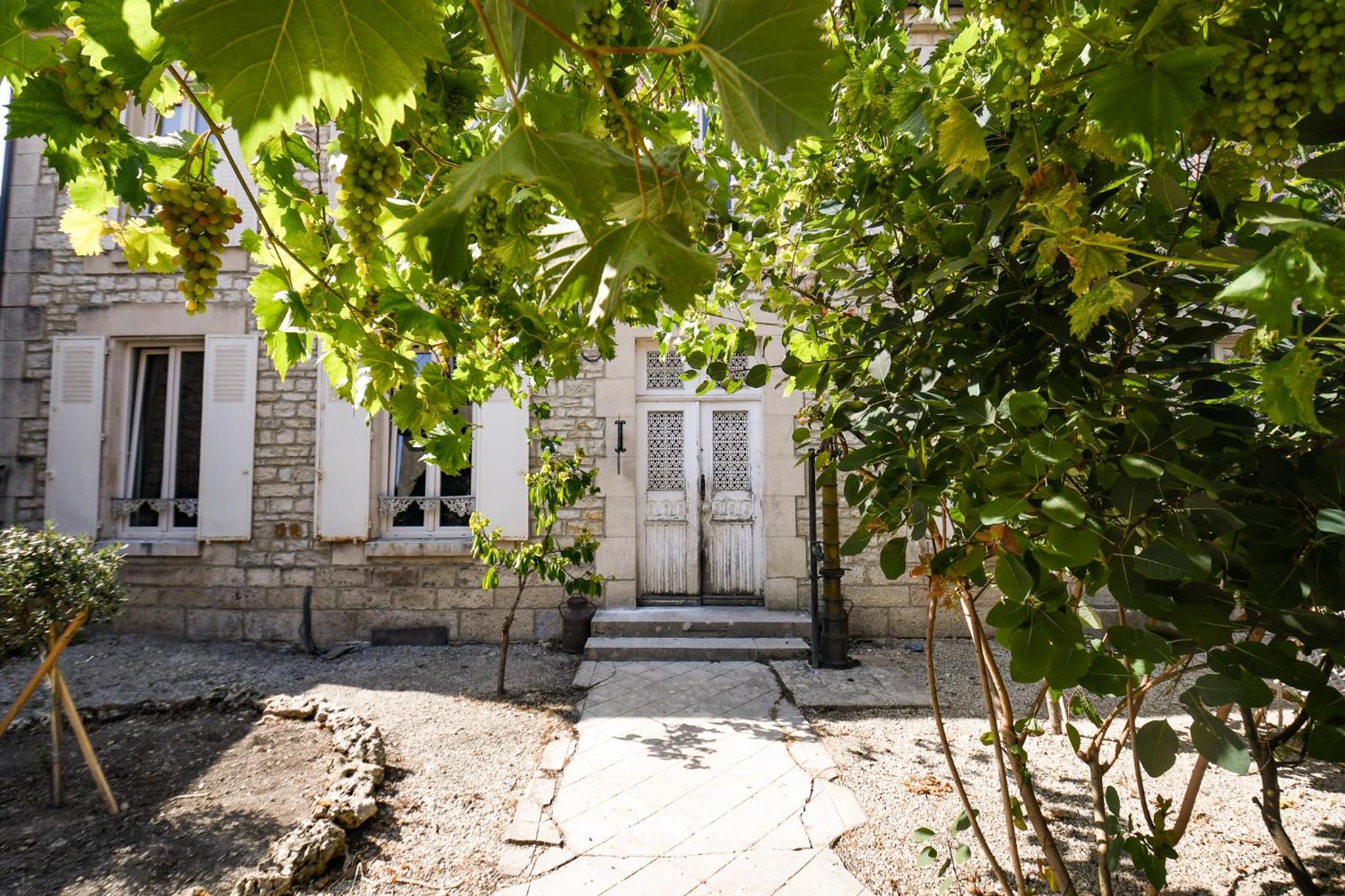 Les crins du vignoble