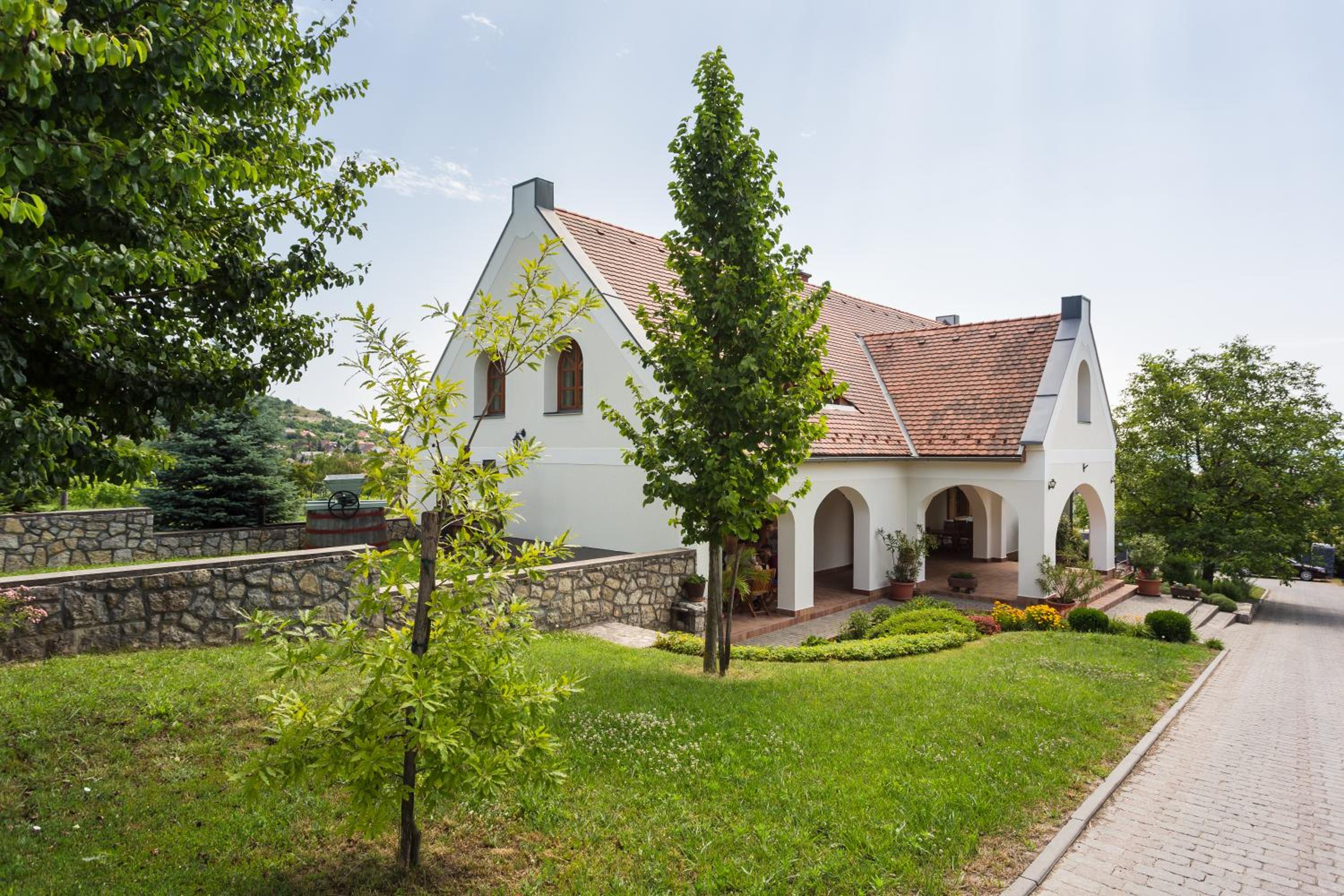 Photo 42