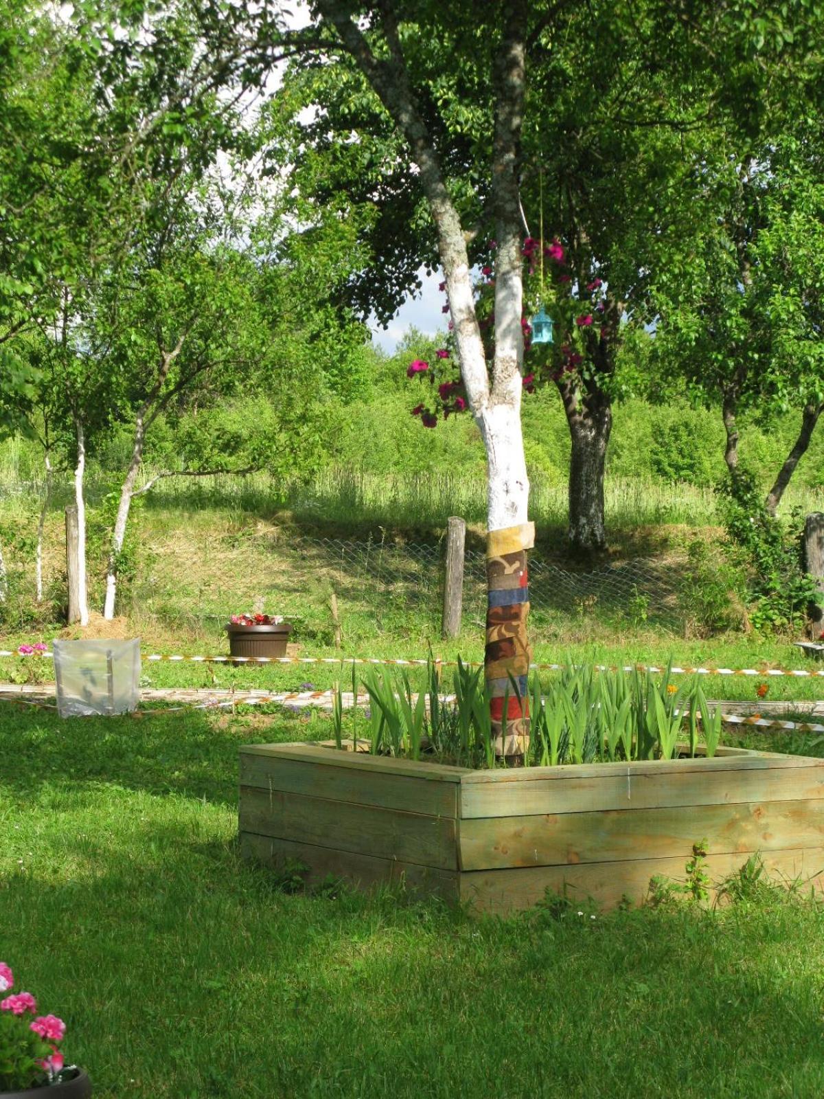 Photo 40