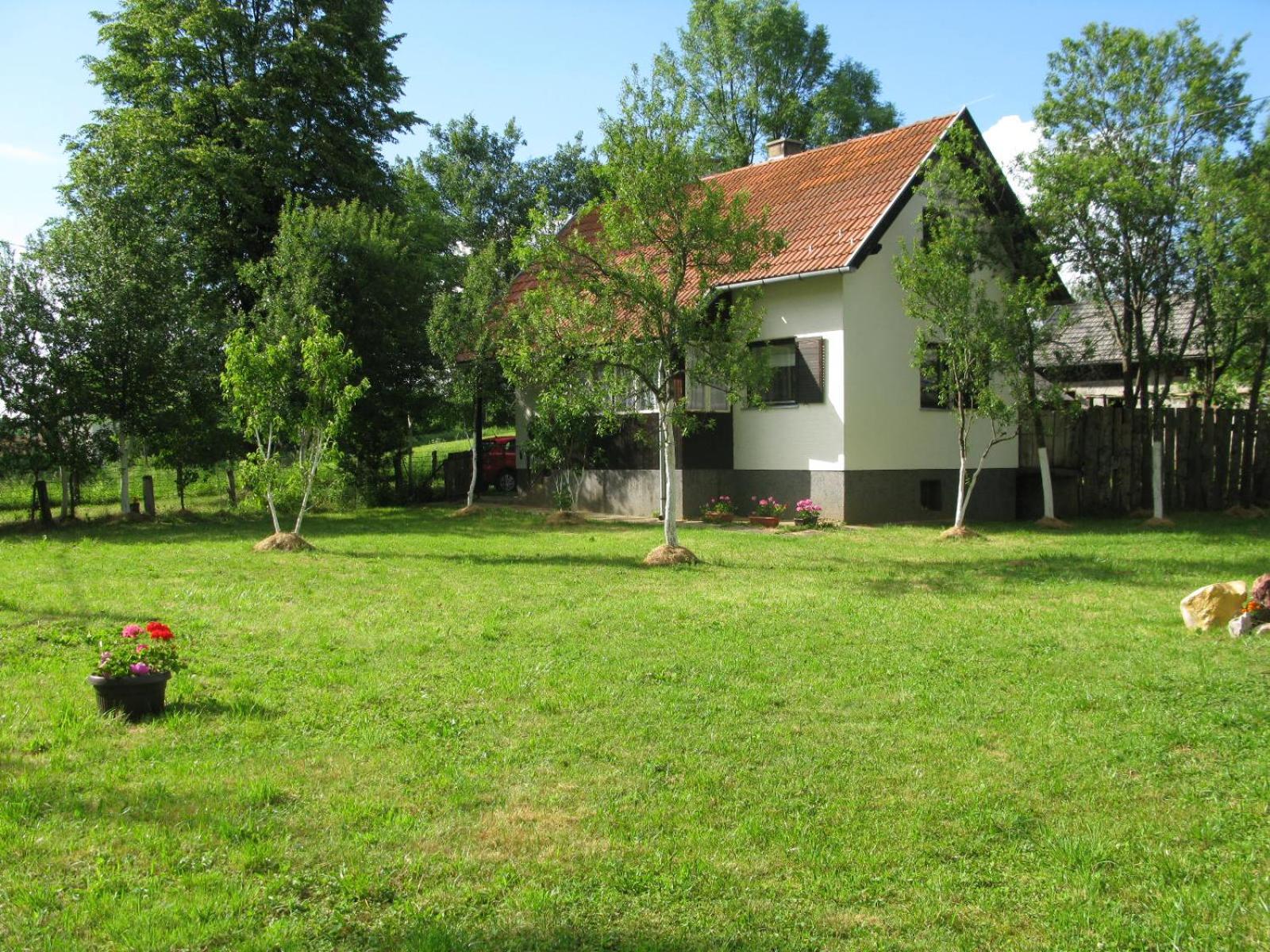 Photo 38