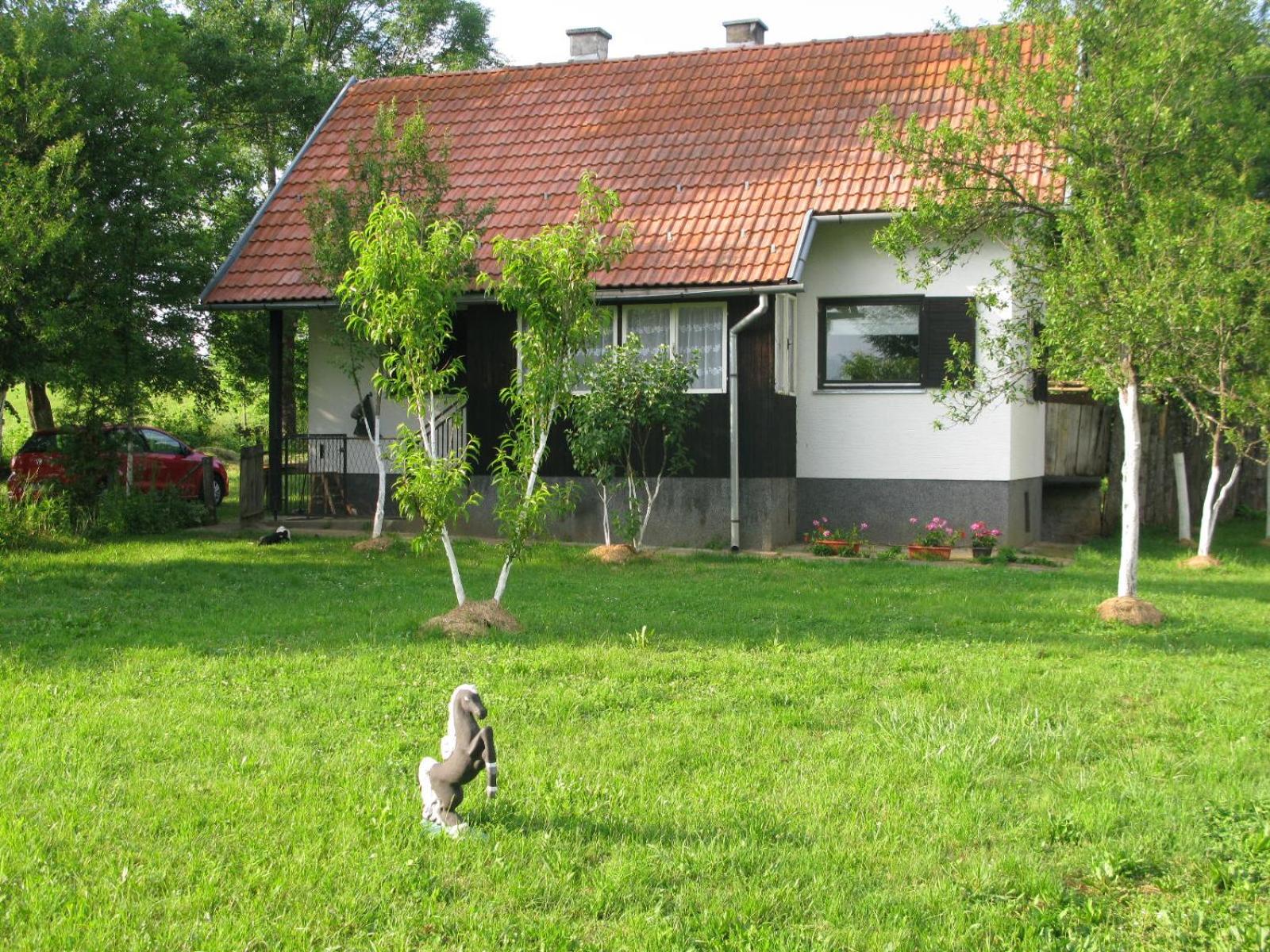 Photo 36