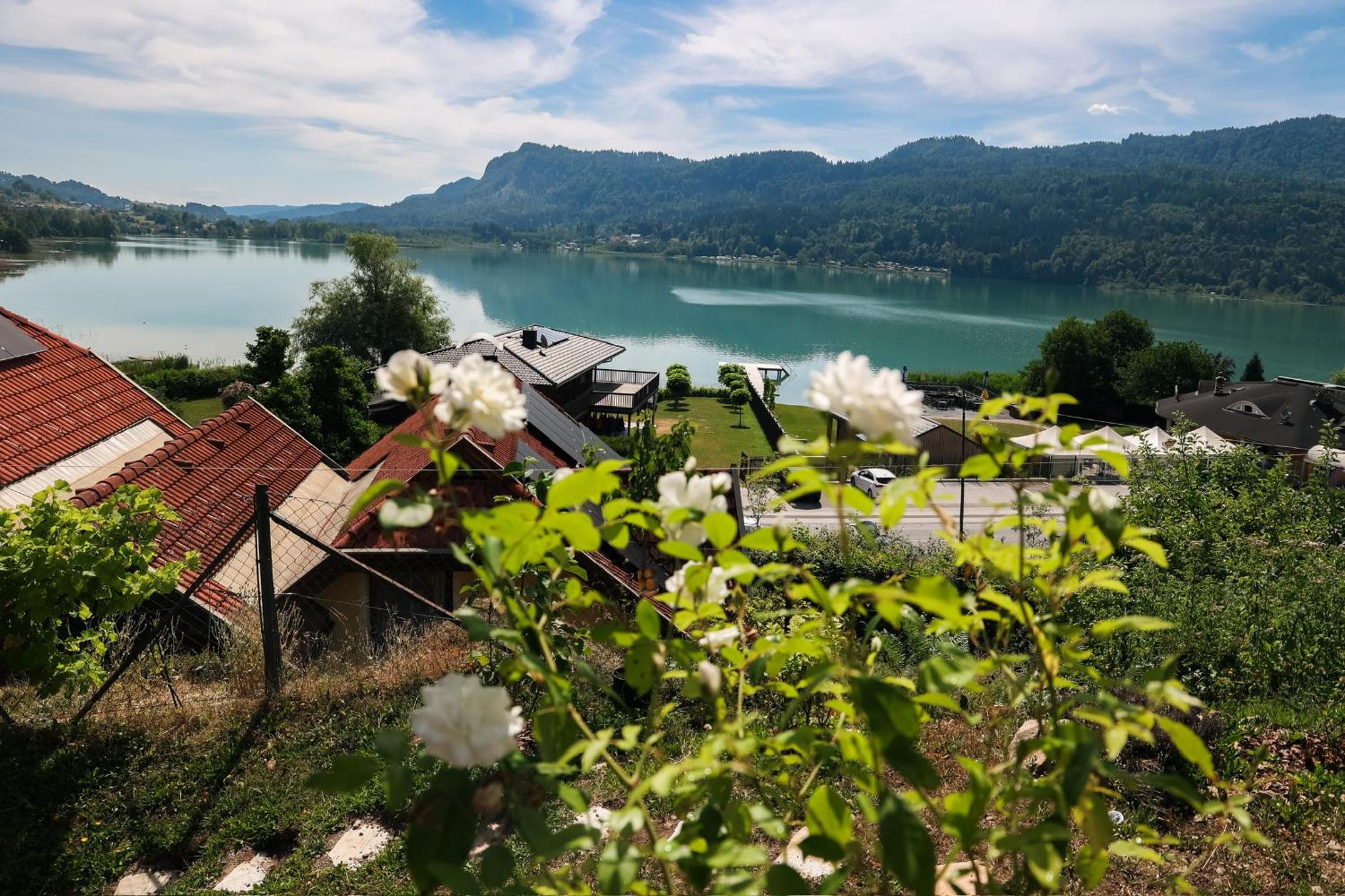 Guesthouse am See SOL