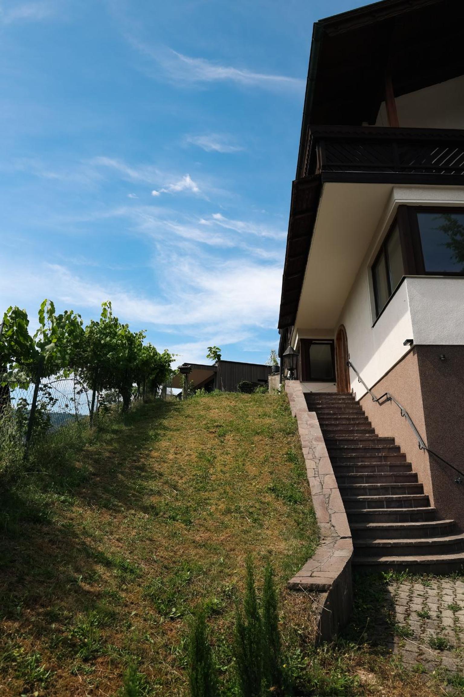 Guesthouse am See SOL
