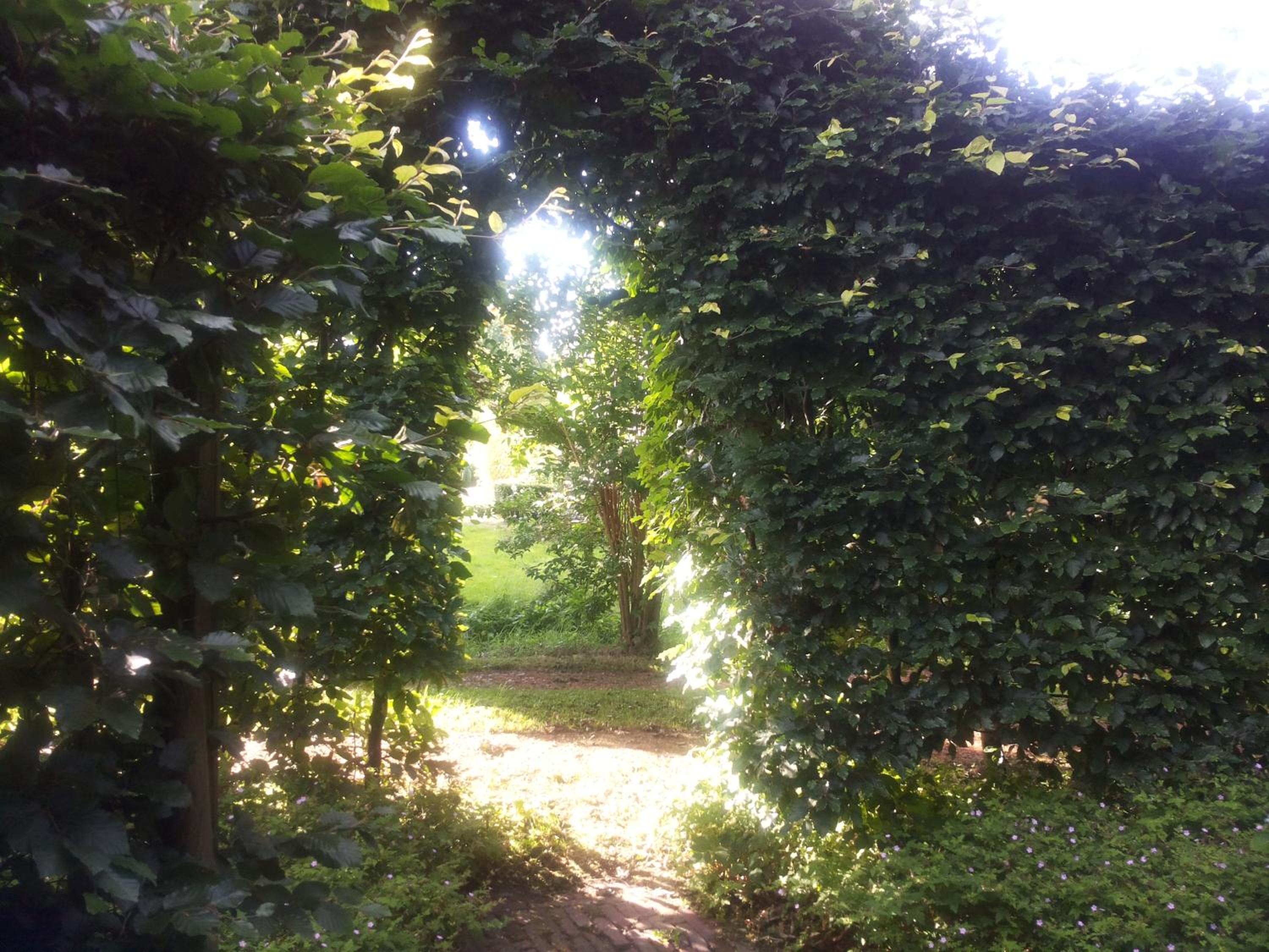 Photo 26