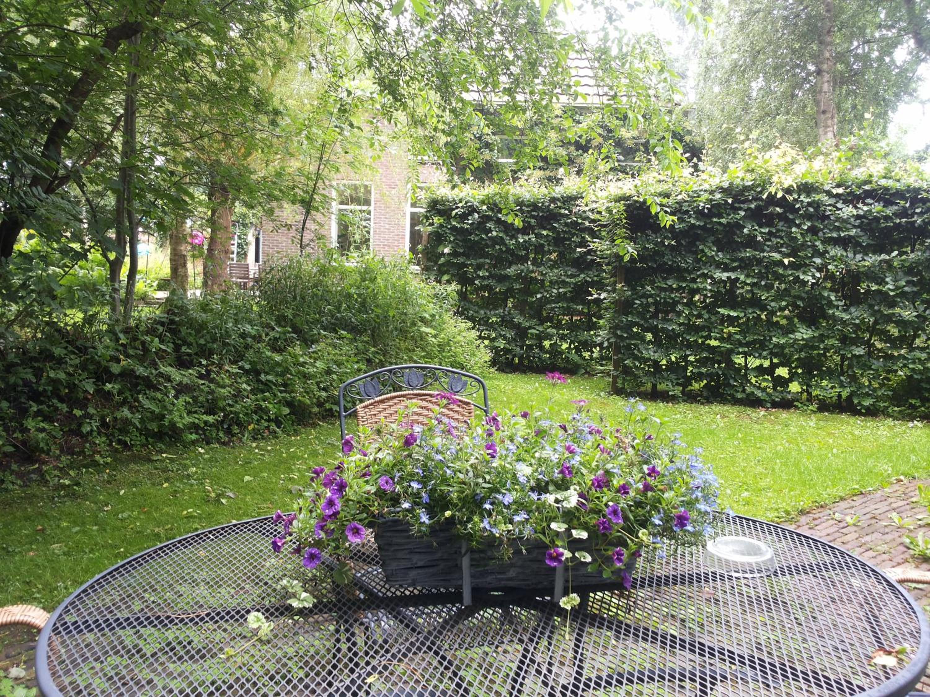 Bed & Breakfast Onder Dak view 4