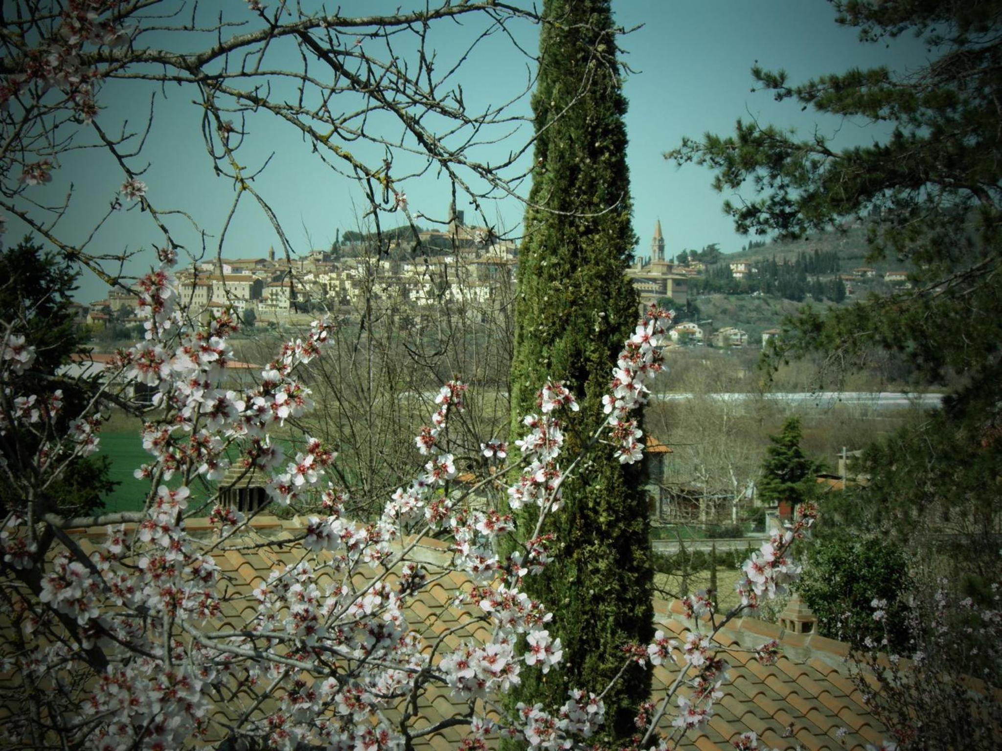 Agriturismo Borgo Santa Lucia, Entire property