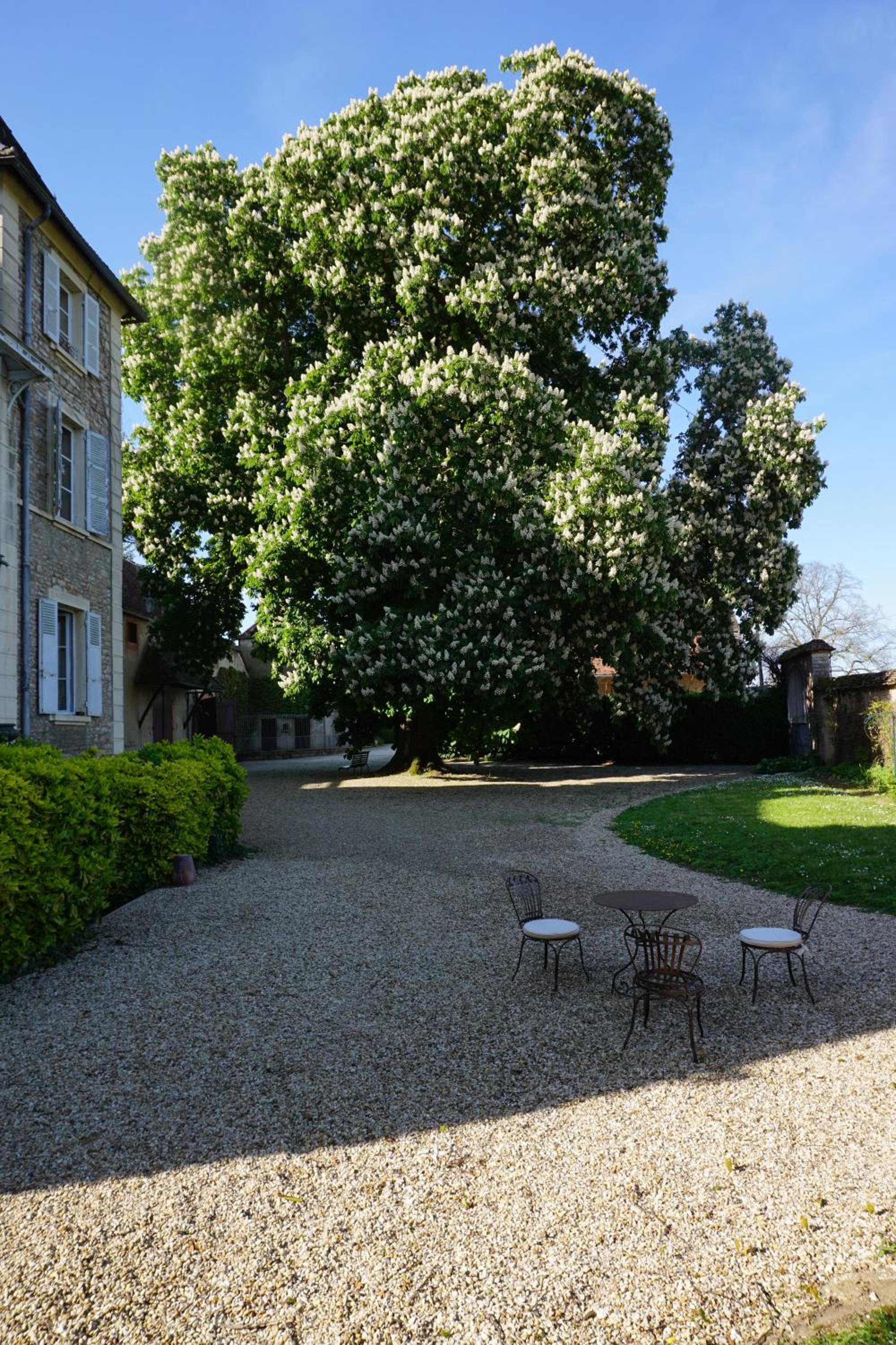 Le Château view 2