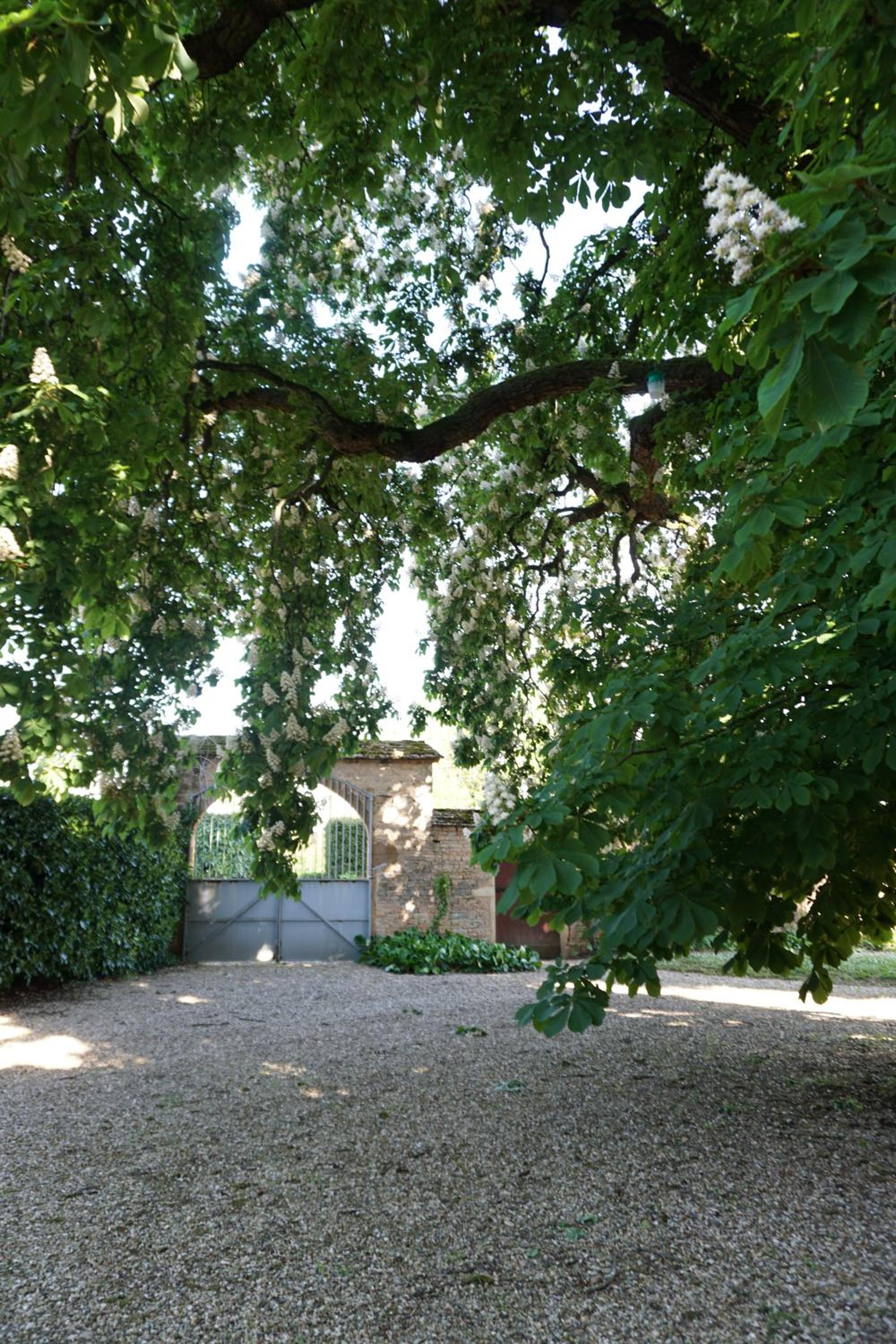 Le Château view 4