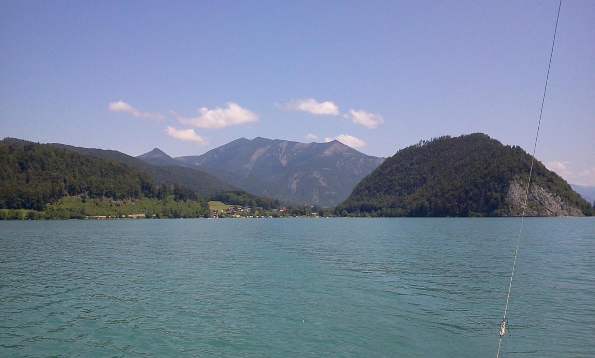 Photo 41