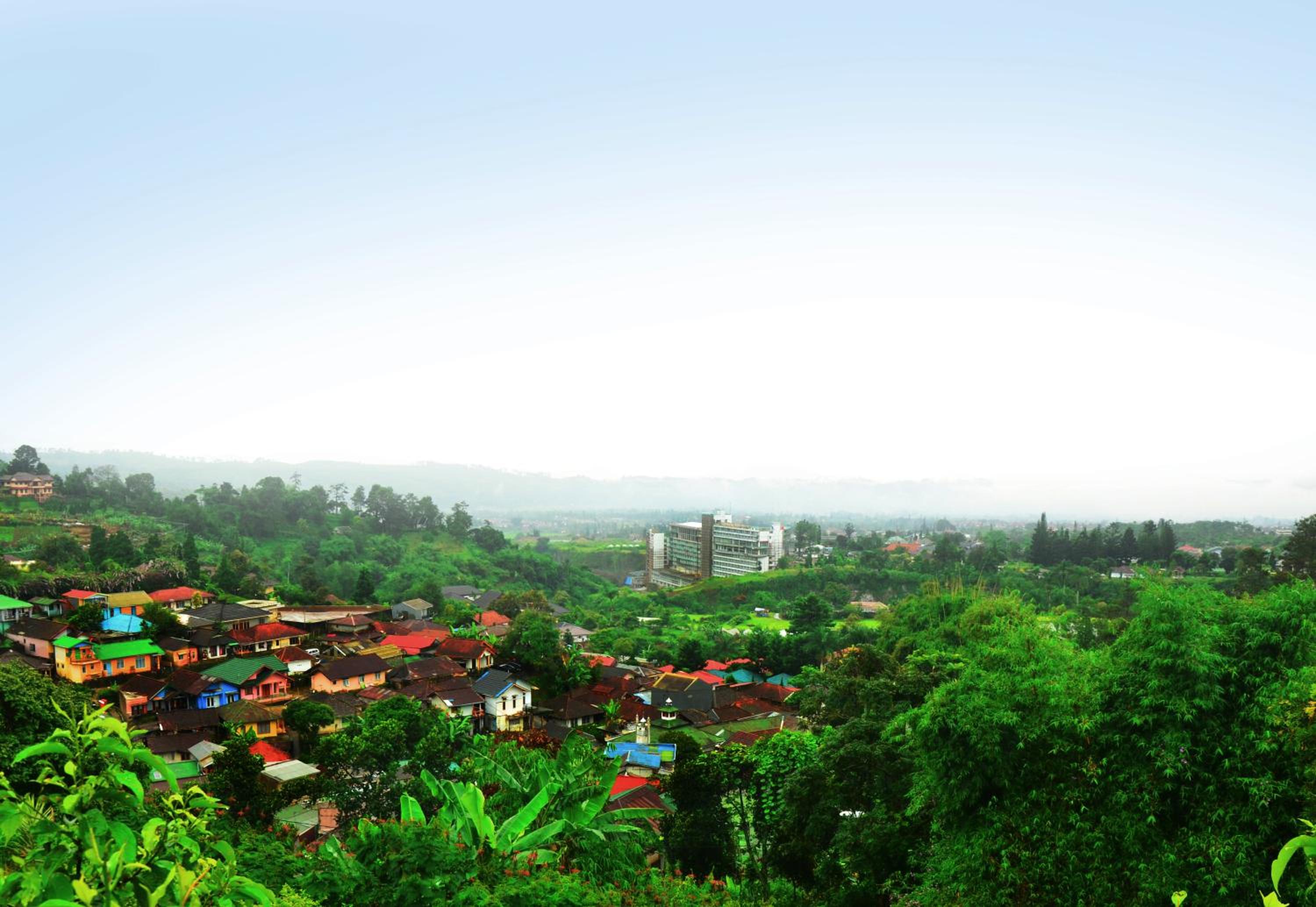 Villa Buenavista Puncak view 3