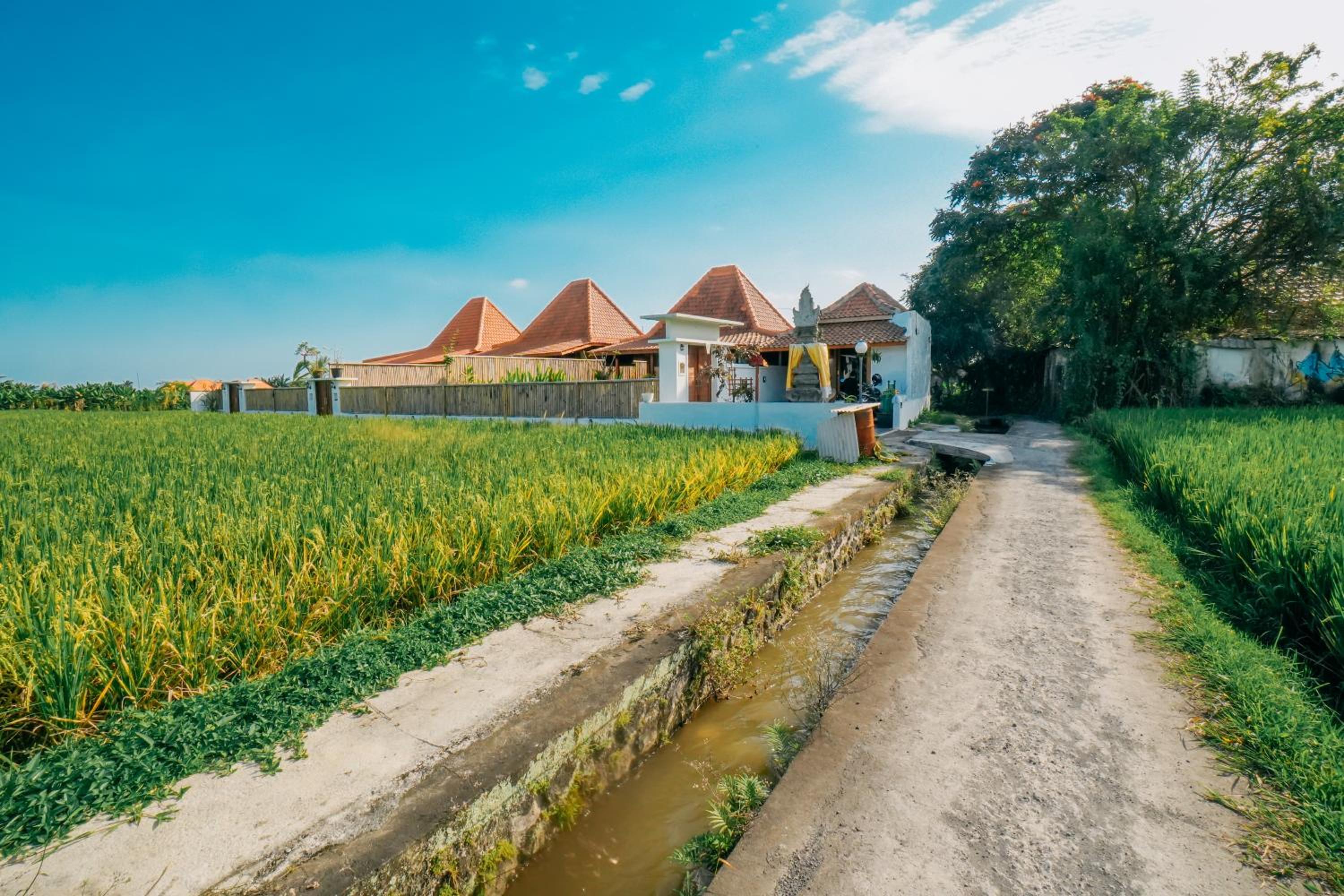 Villa Artha Ubud