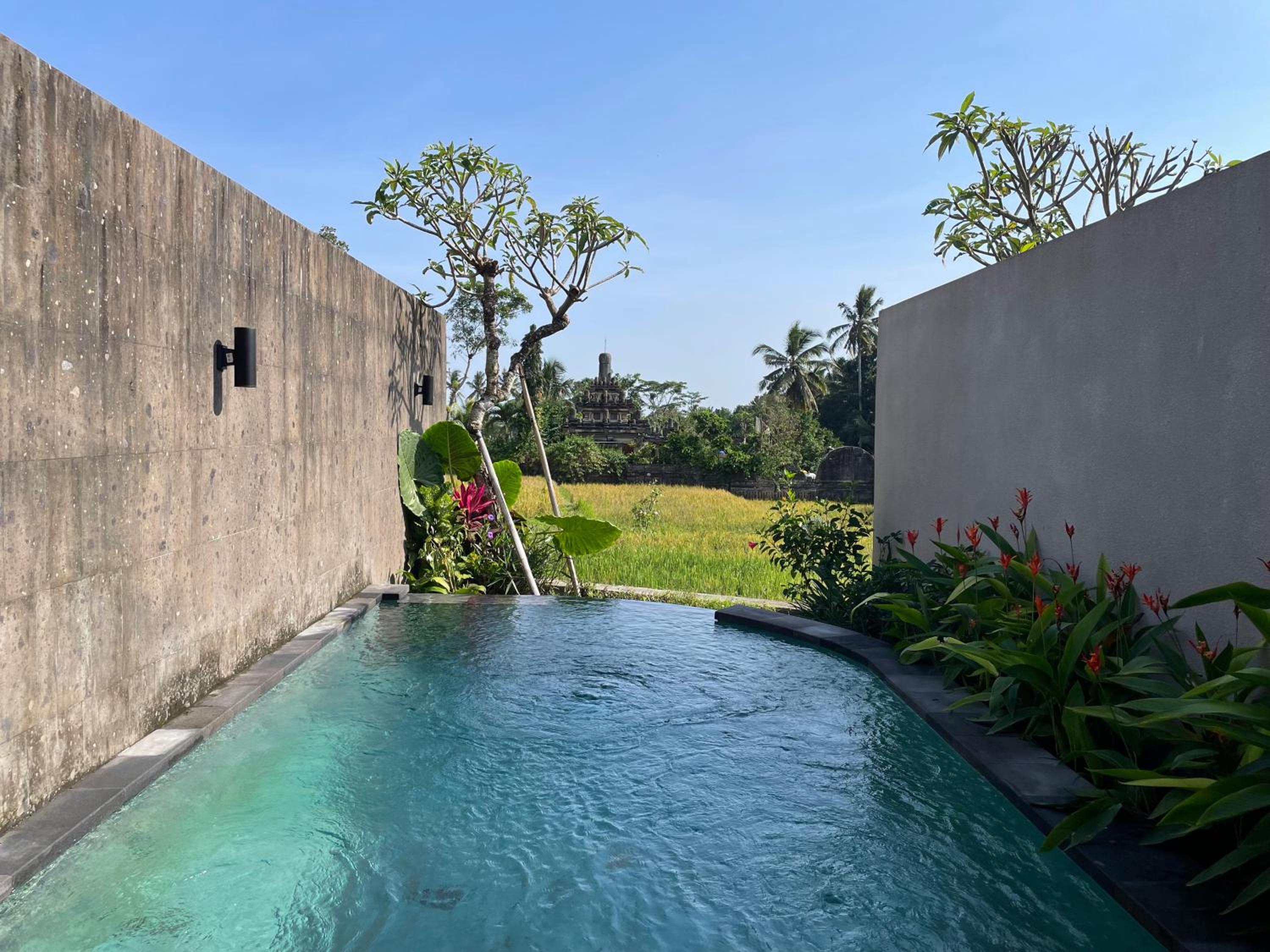 Sabuh Mas Villa Ubud by Aswanaya