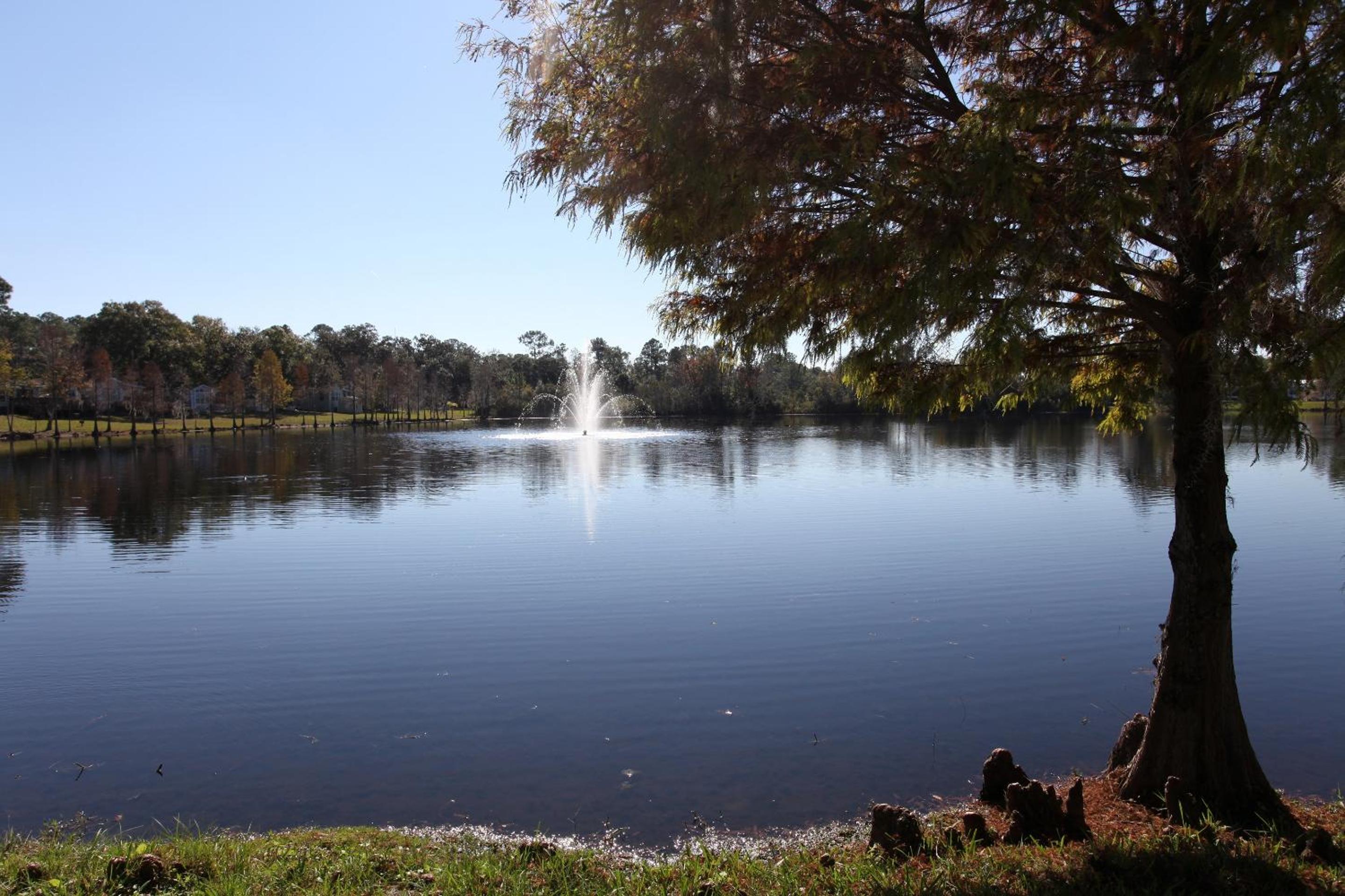 other