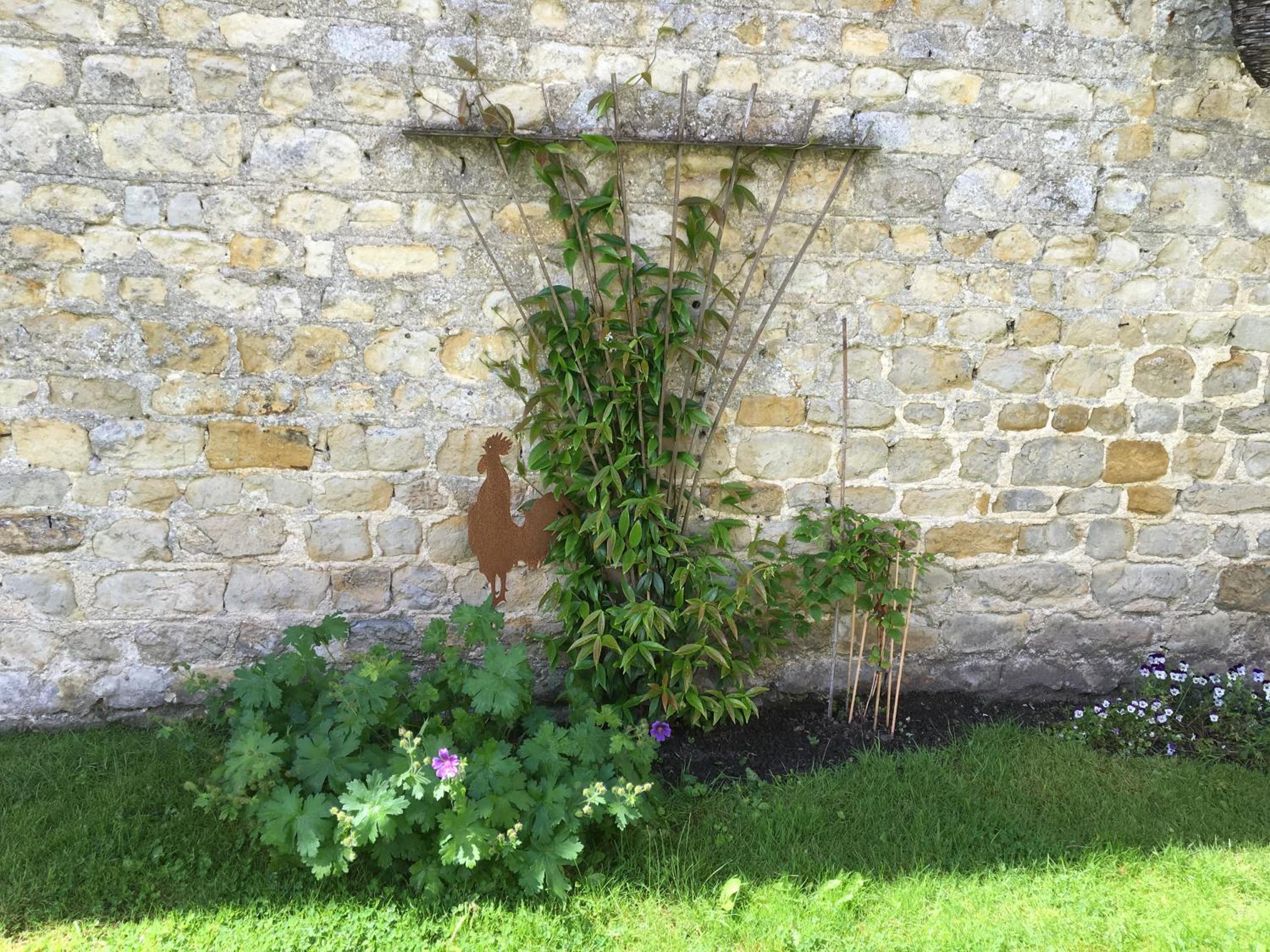 Photo 11