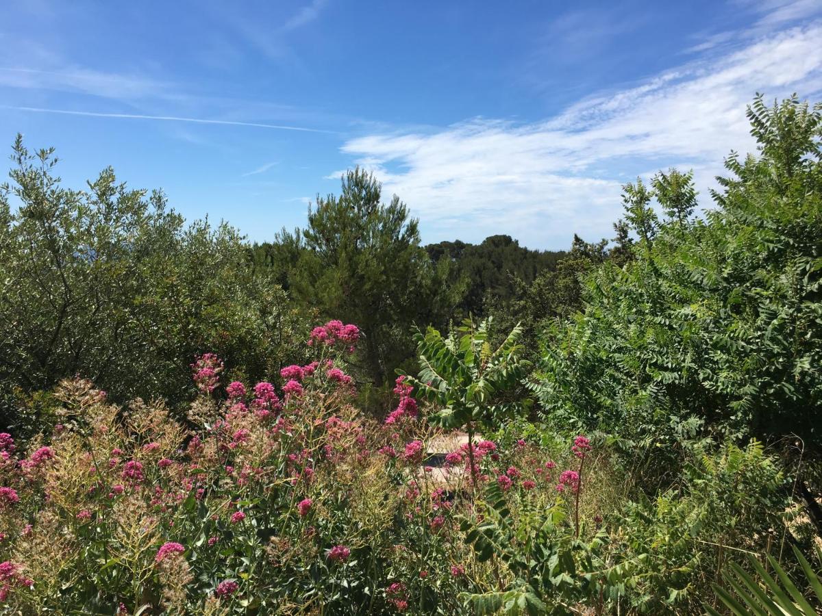 Photo 19