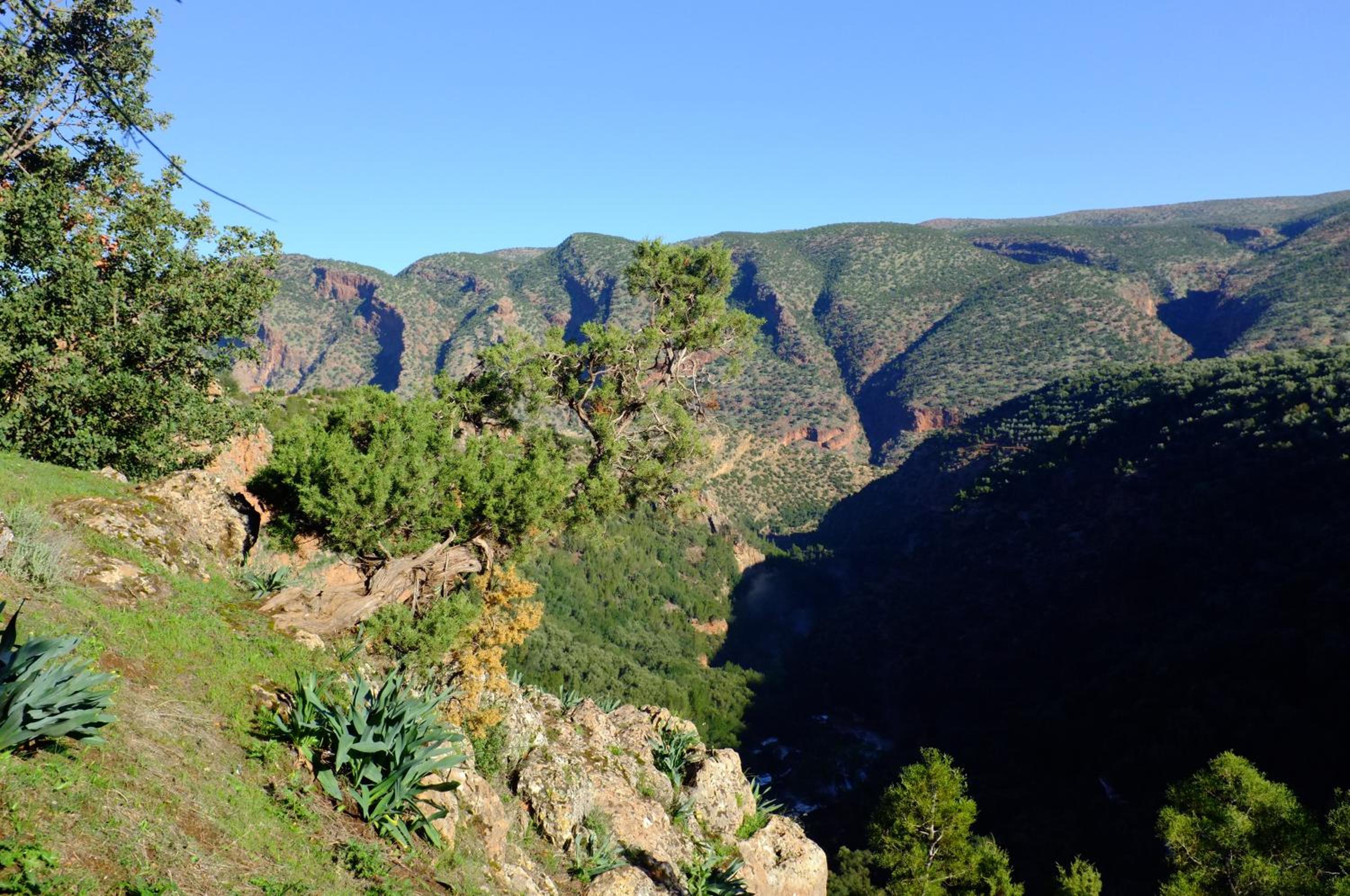 Riad Cascades d'Ouzoud
