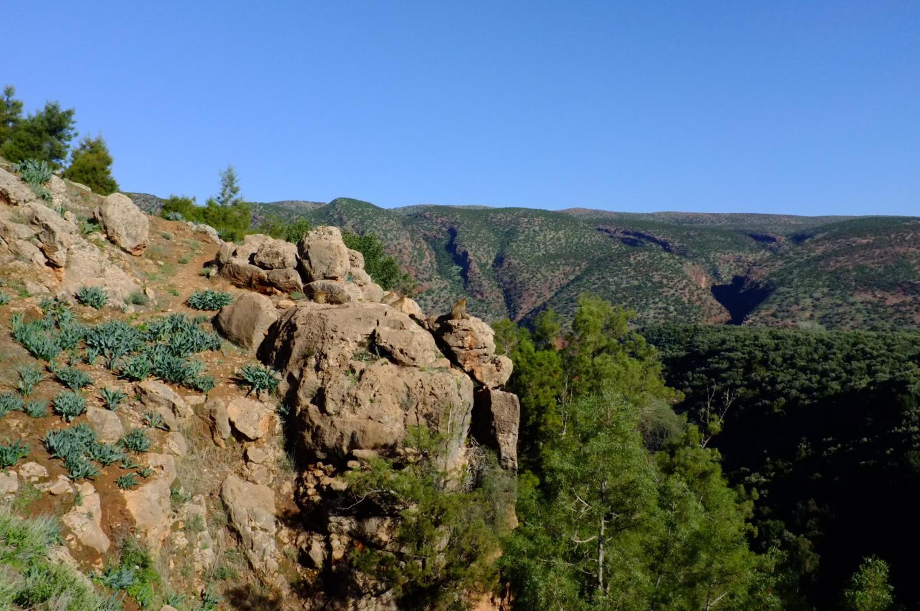 Riad Cascades d'Ouzoud