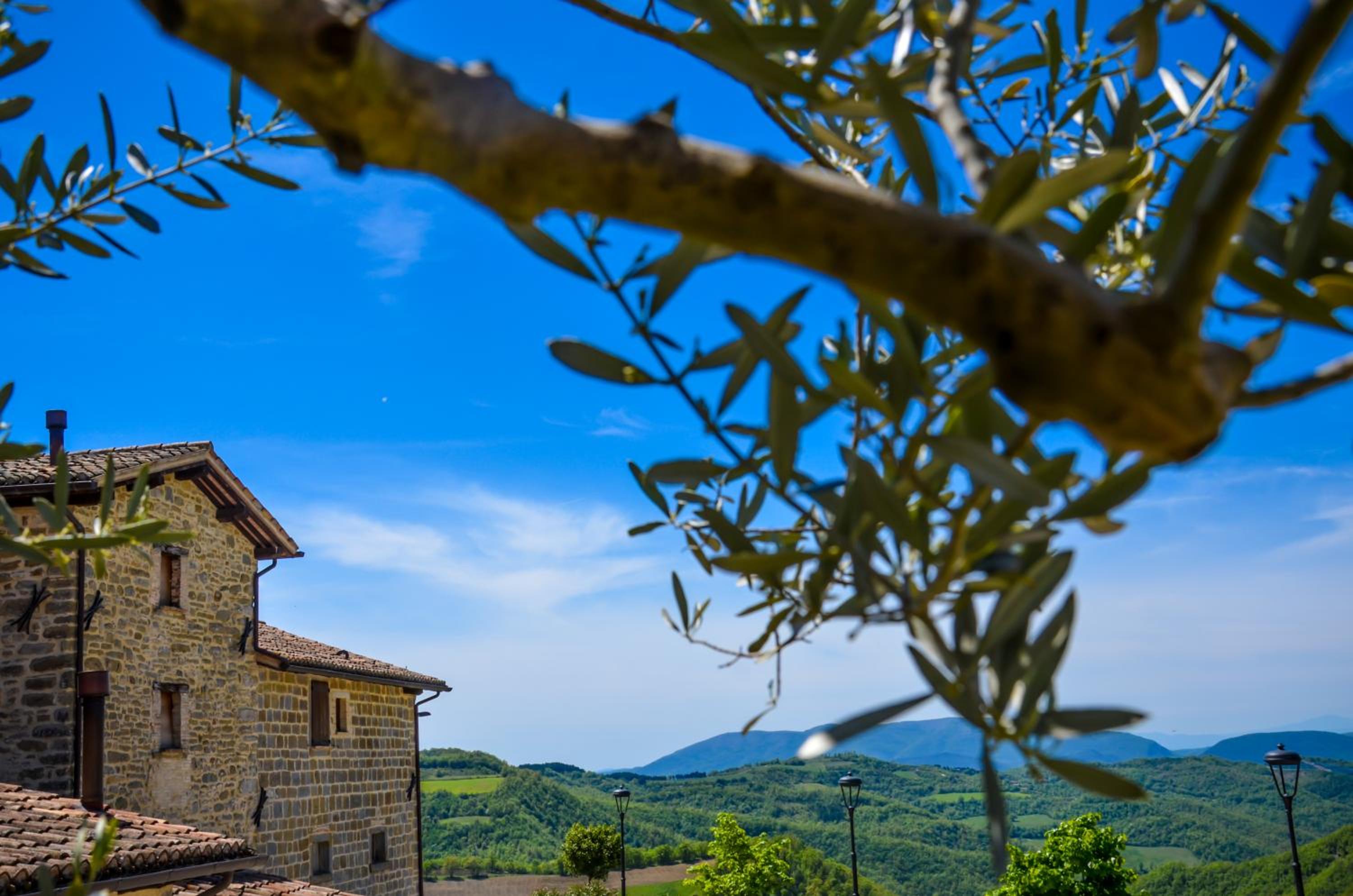 Tenuta Borgo Santa Cecilia