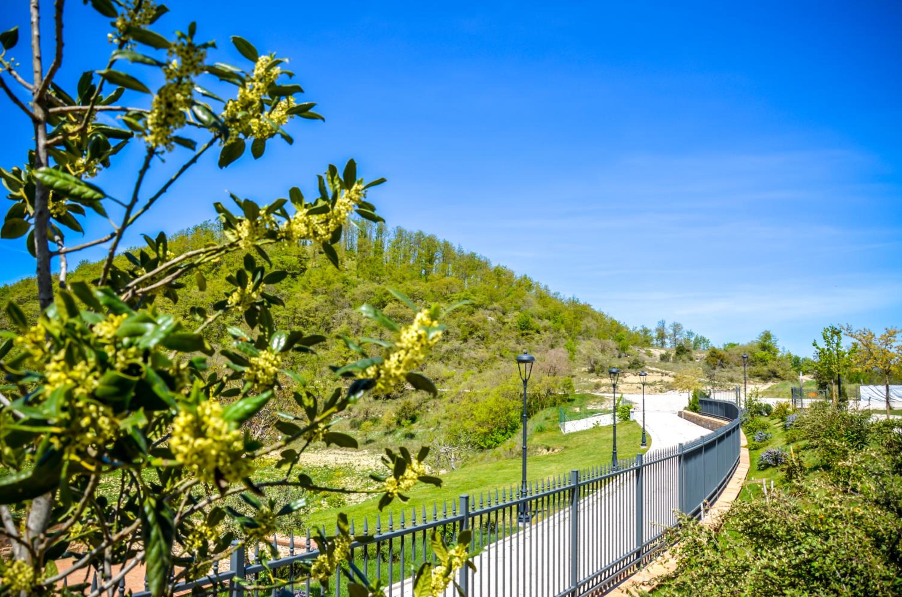Tenuta Borgo Santa Cecilia