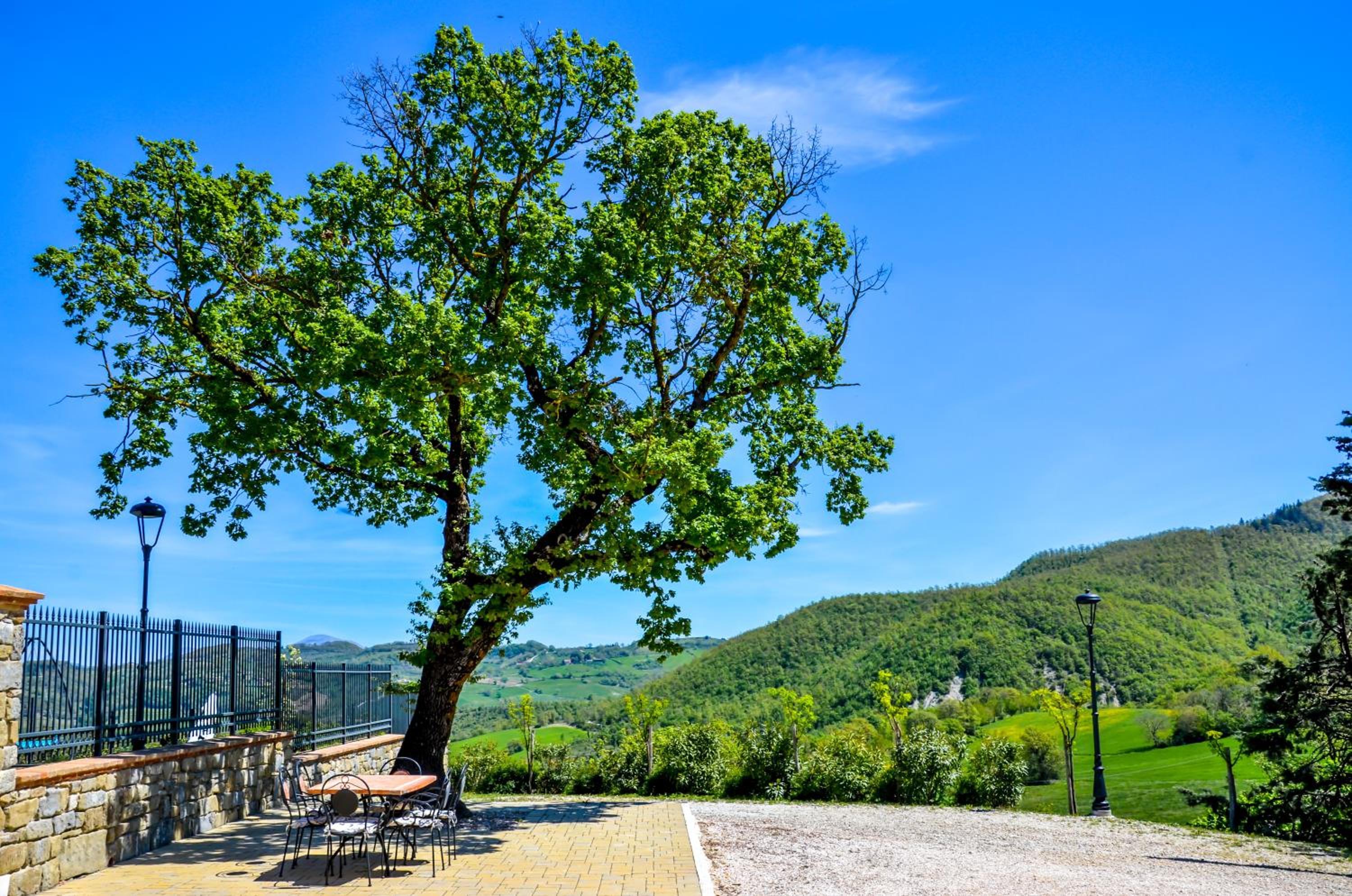 Tenuta Borgo Santa Cecilia