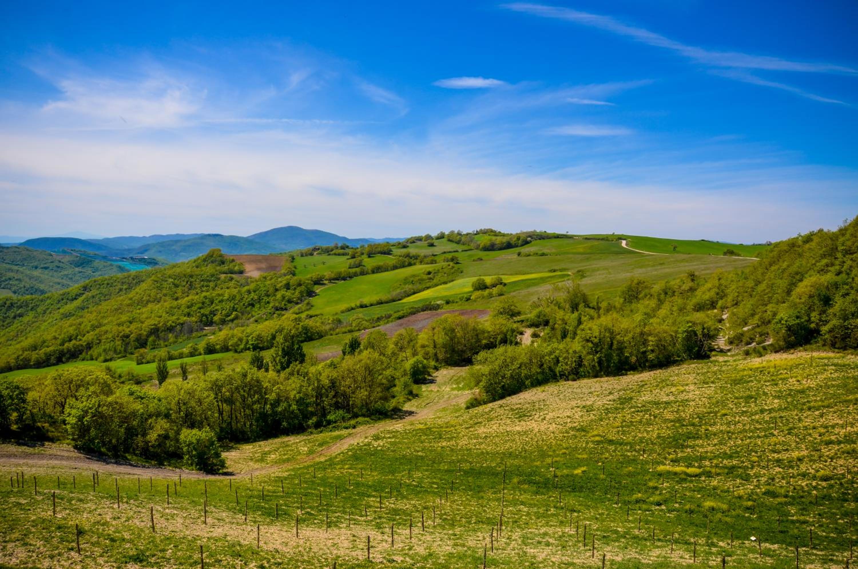 Tenuta Borgo Santa Cecilia